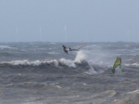 29.10.2013 - Holland - Wijk aan Zee