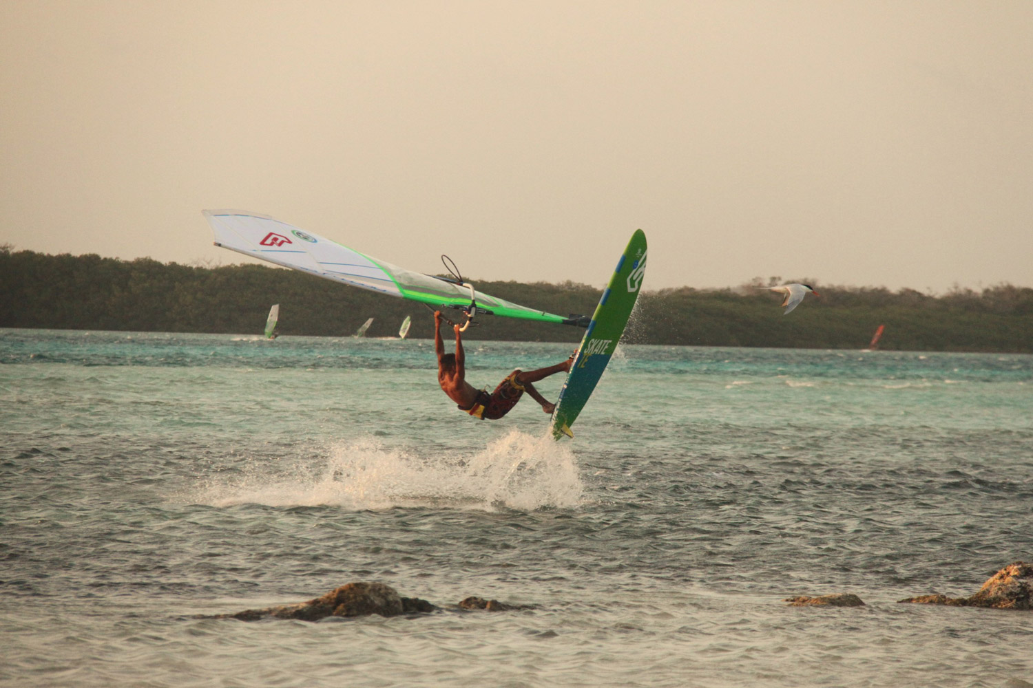 King of Bonaire 2016