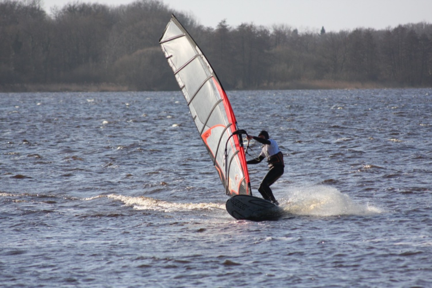 05.03.2011 - Ostufer - Zwischenahner Meer