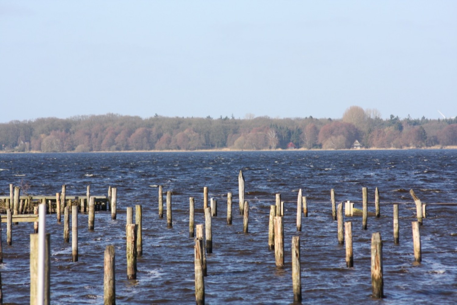 05.03.2011 - Ostufer - Zwischenahner Meer