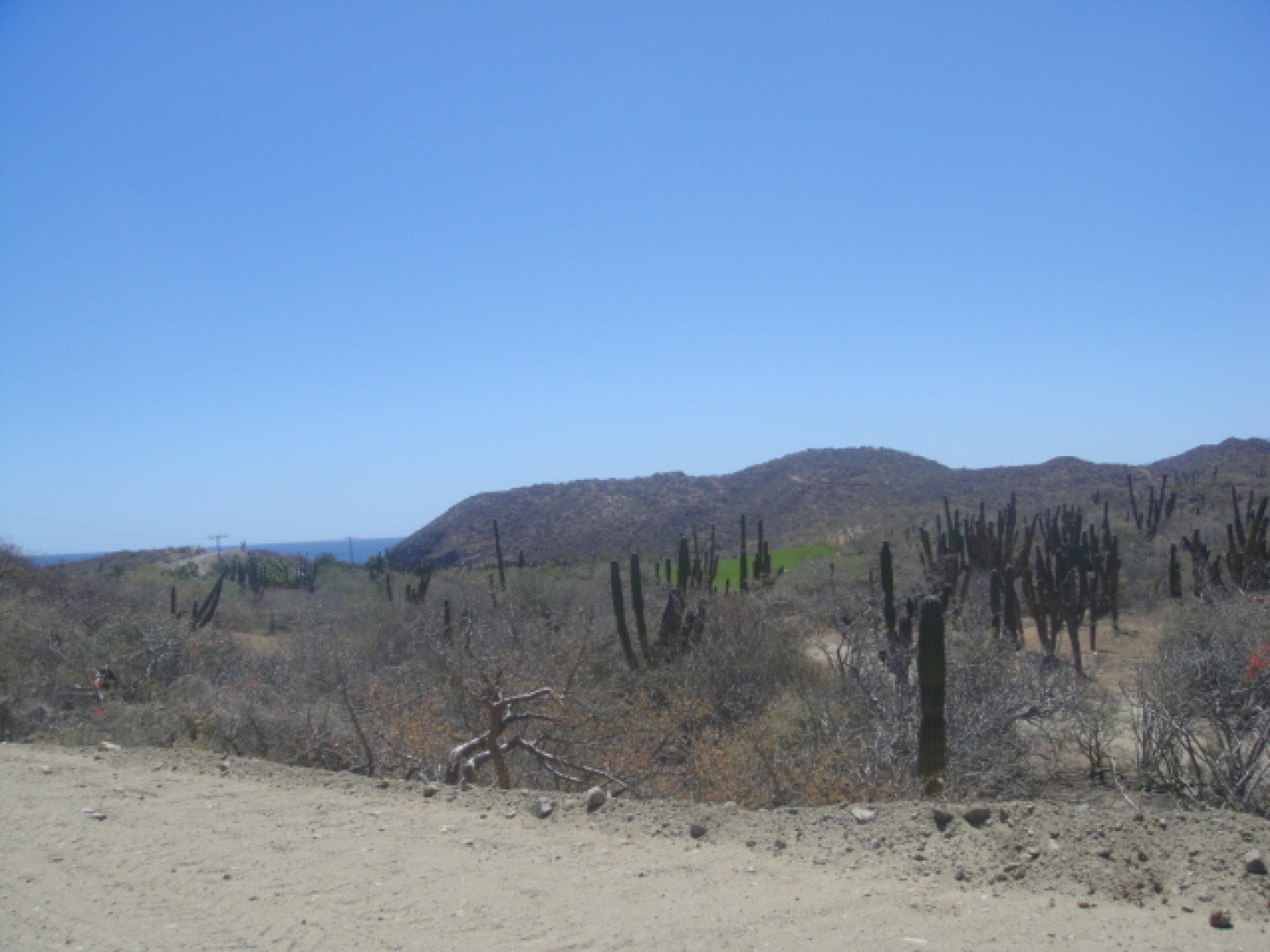 10.01.2011 - Baja Mexico - La ventana