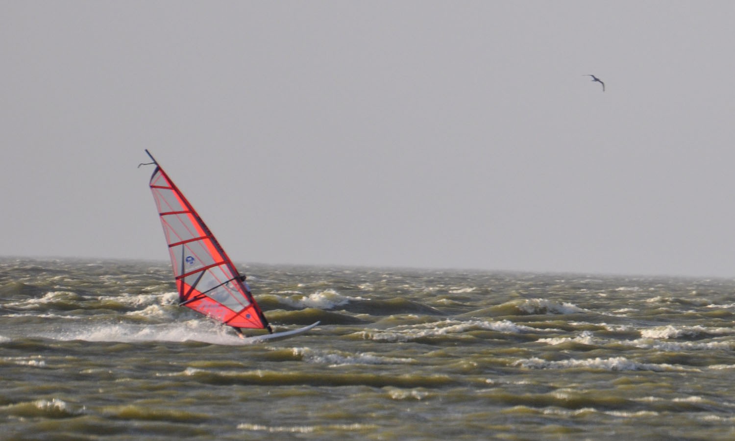 27.11.2011 - Ijsselmeer / Hindeloopen