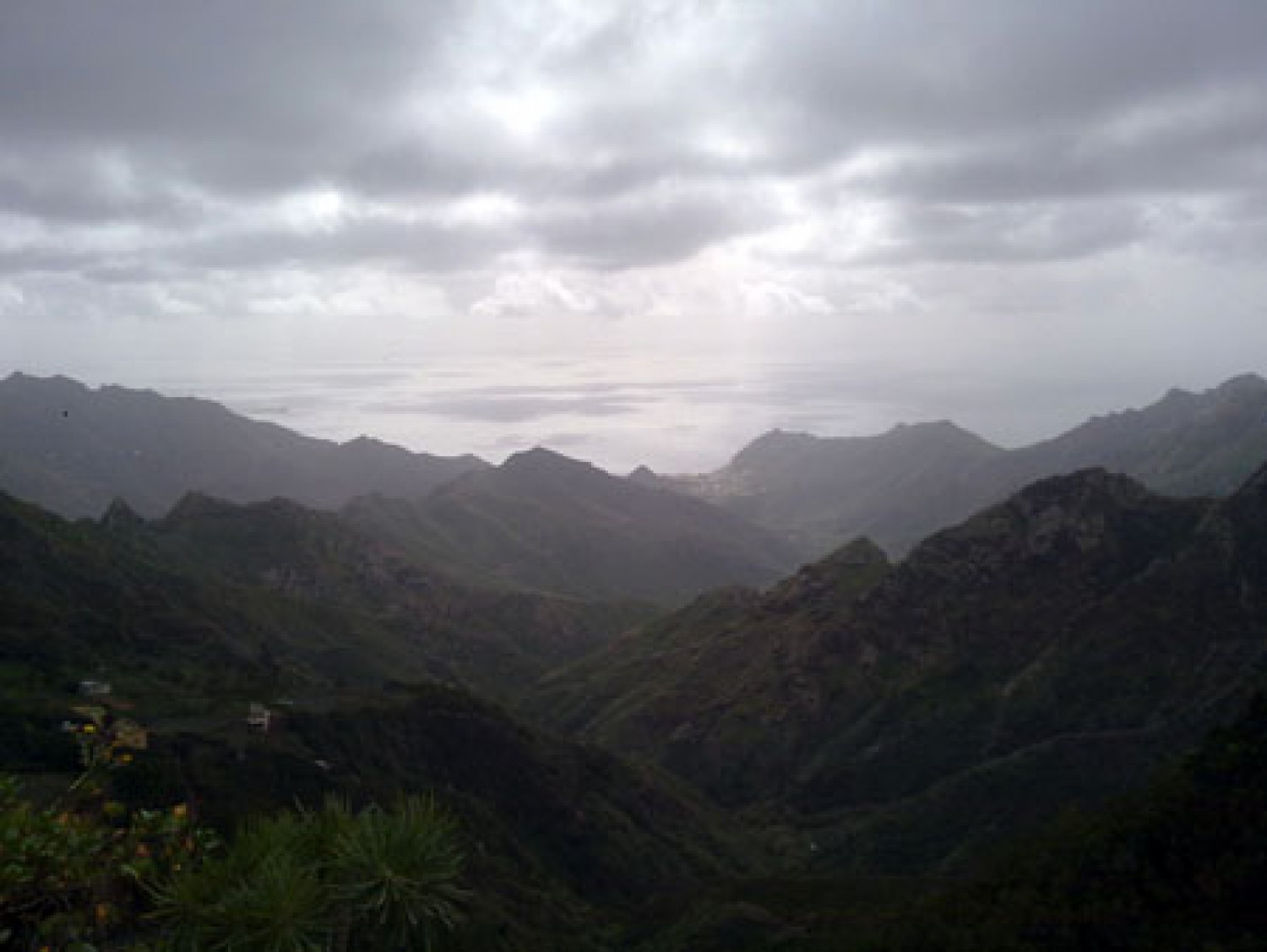 21.02.2013 - Tenerife - El Cabezo