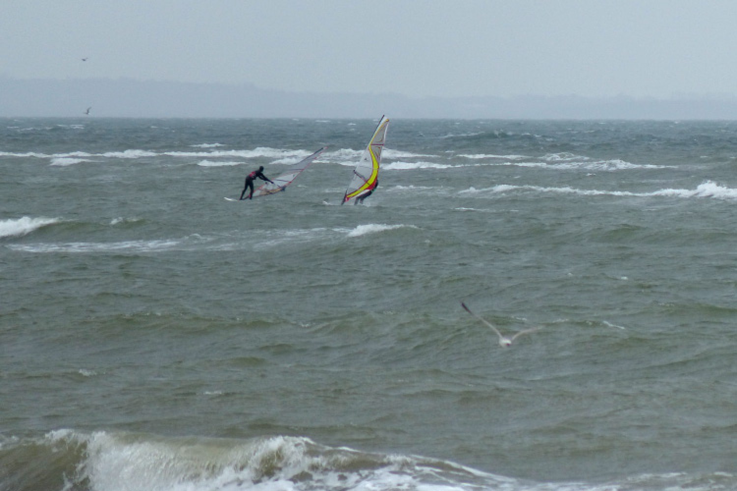 17.03.2014 - Heiligenhafen