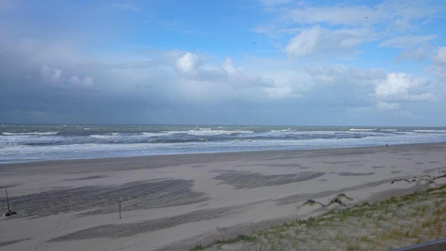 22.10.2014 - Maasvlakte