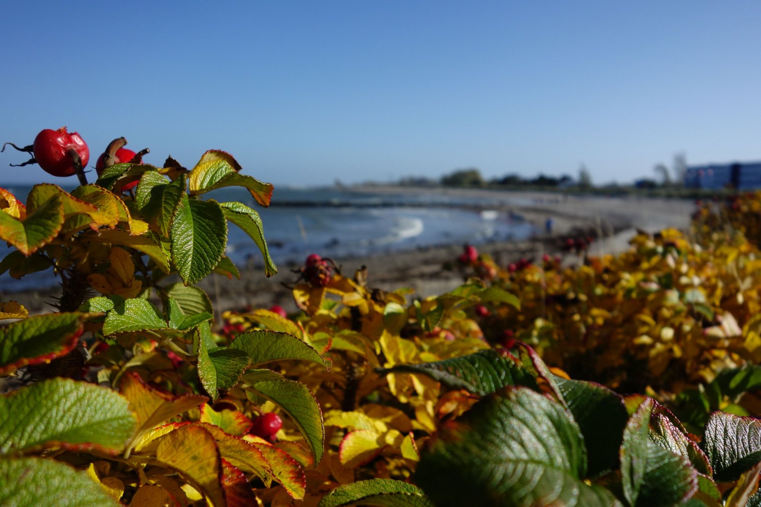 23.10.2015 - Heiligenhafen