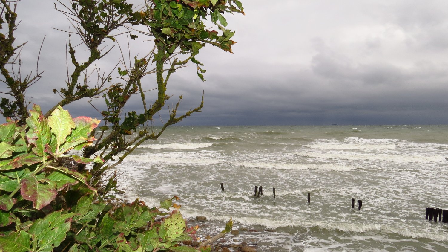 07.10.2016 - Ostsee