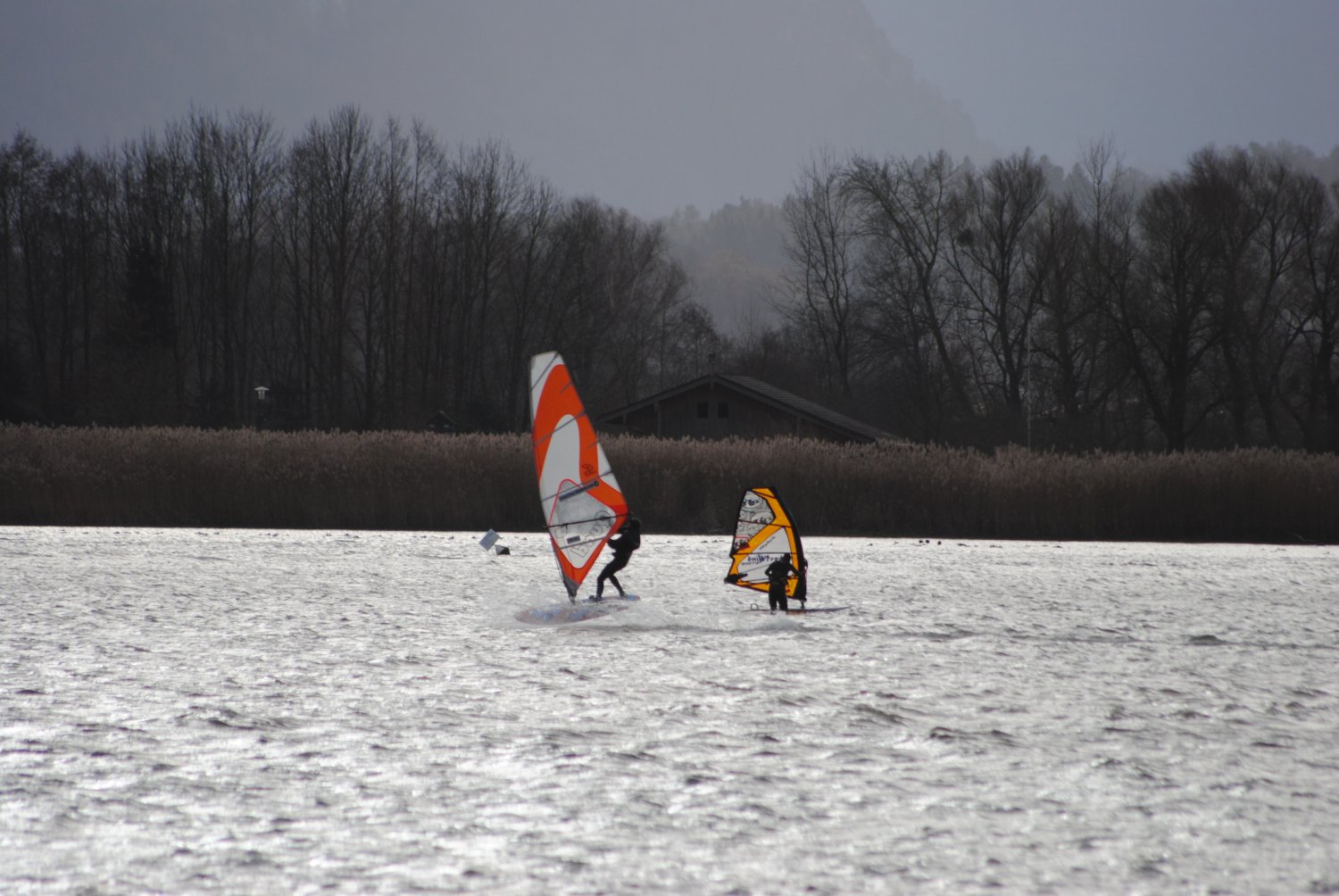 27.12.2016 - Chiemsee-Feldwies