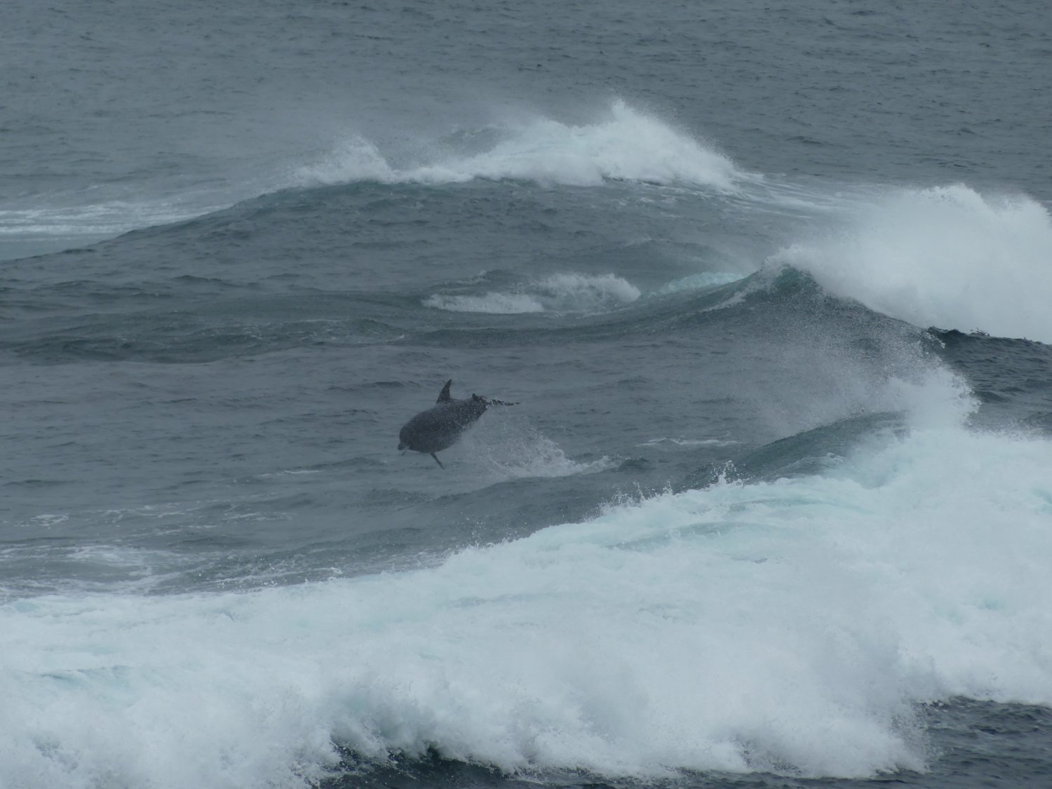 17.01.2018 - Margaret River