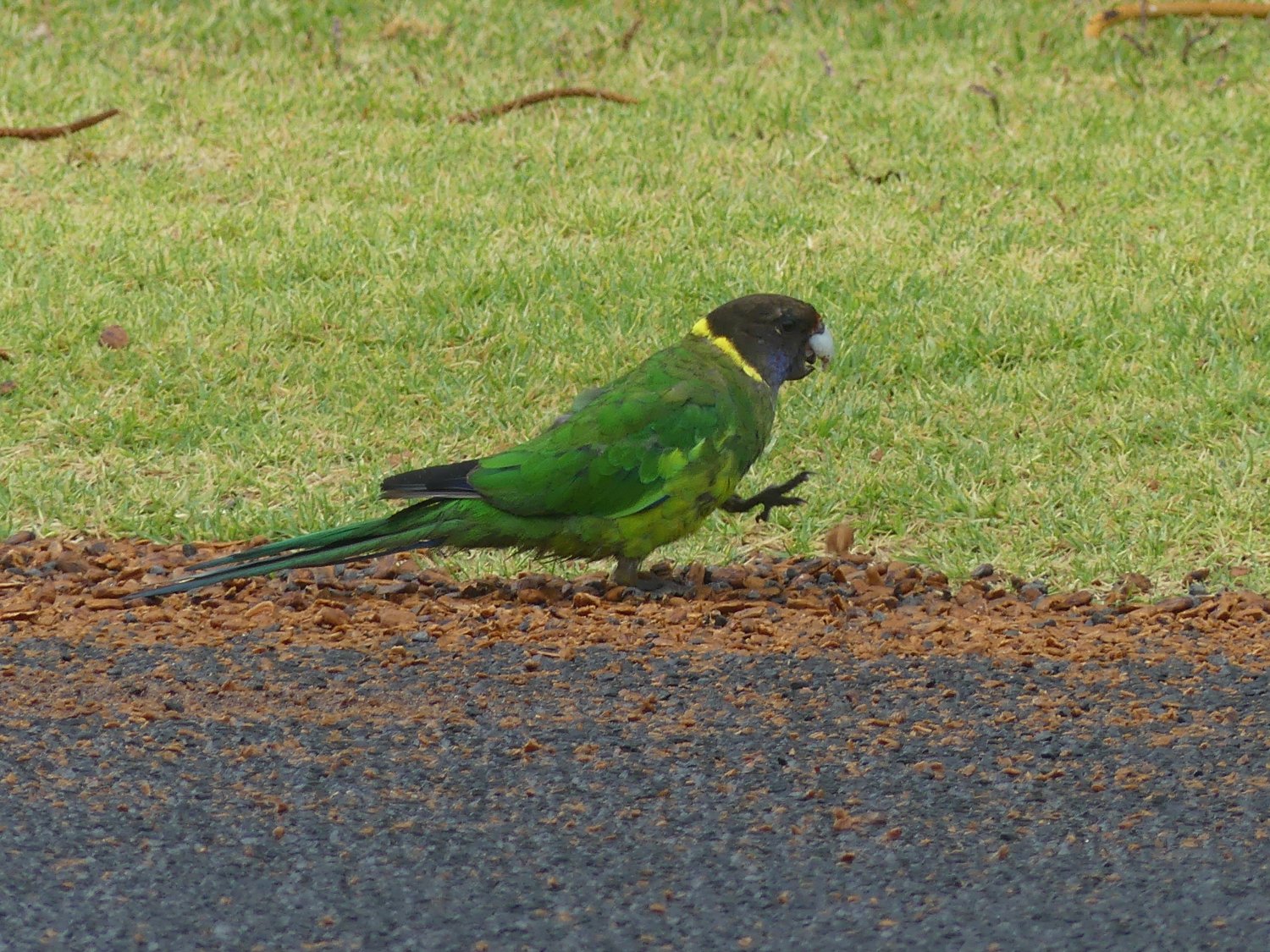 17.01.2018 - Margaret River