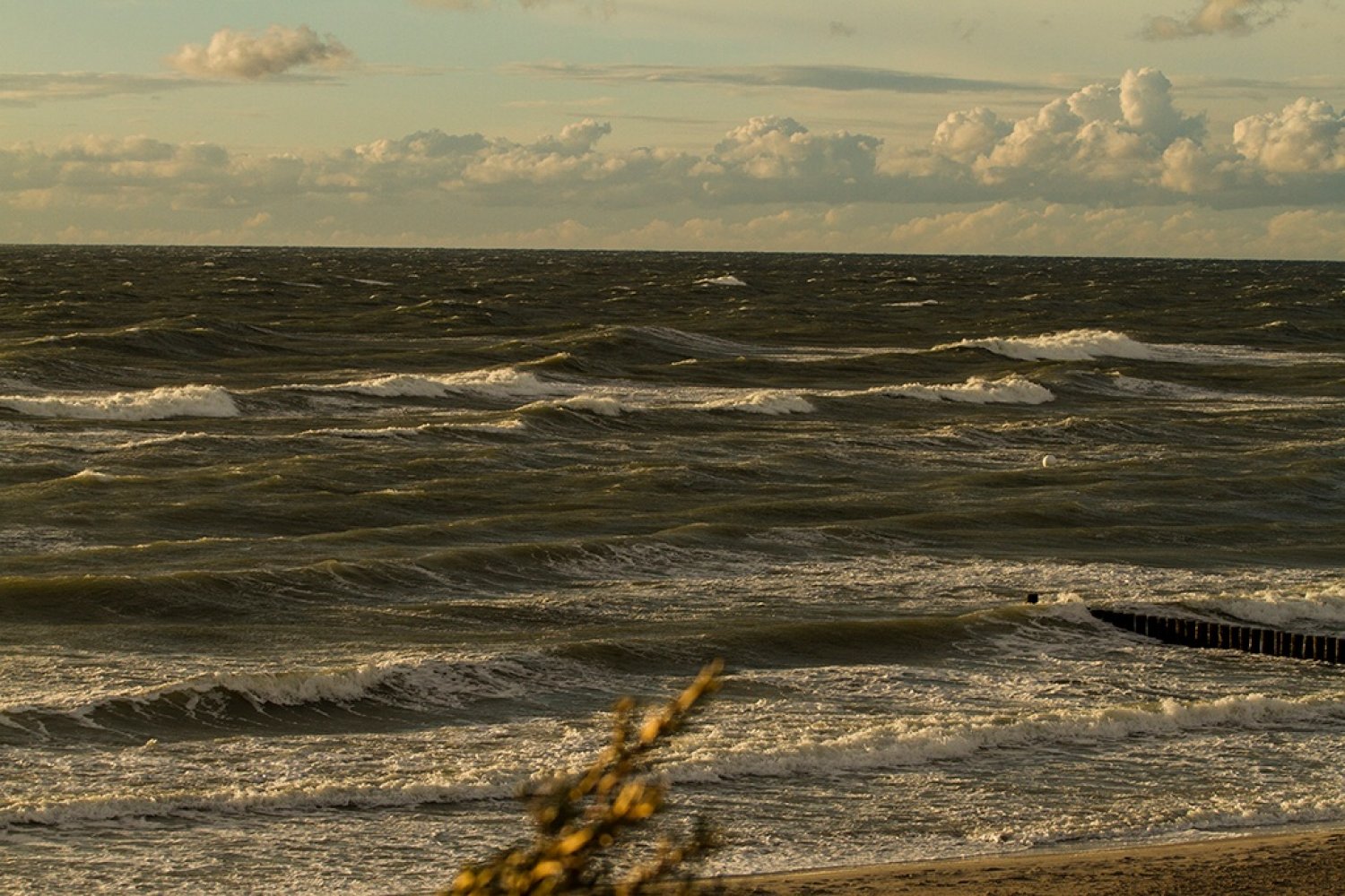 11.08.2018 - Ahrenshoop 