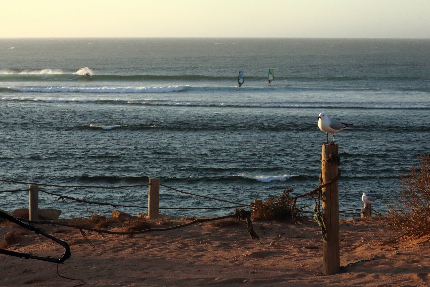 20.02.2019 - Gnaraloo 2, Margarete River 2, WA