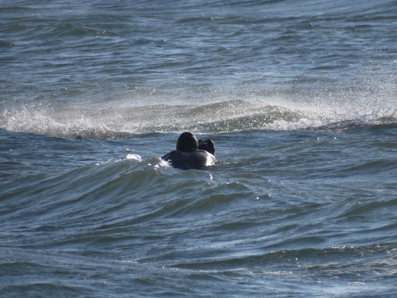 08.04.2019 - Ostsee