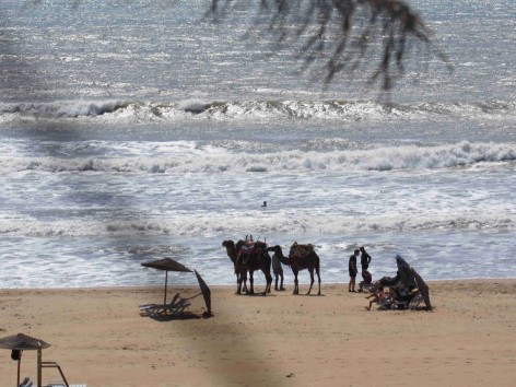 Sidi Kaouki (Marocco)