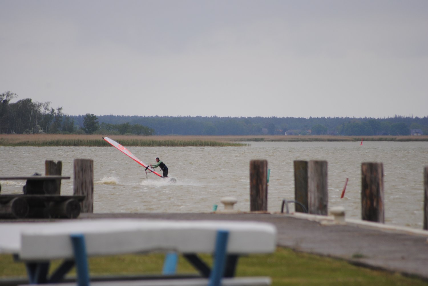 26.05.2019 - Saaler Bodden