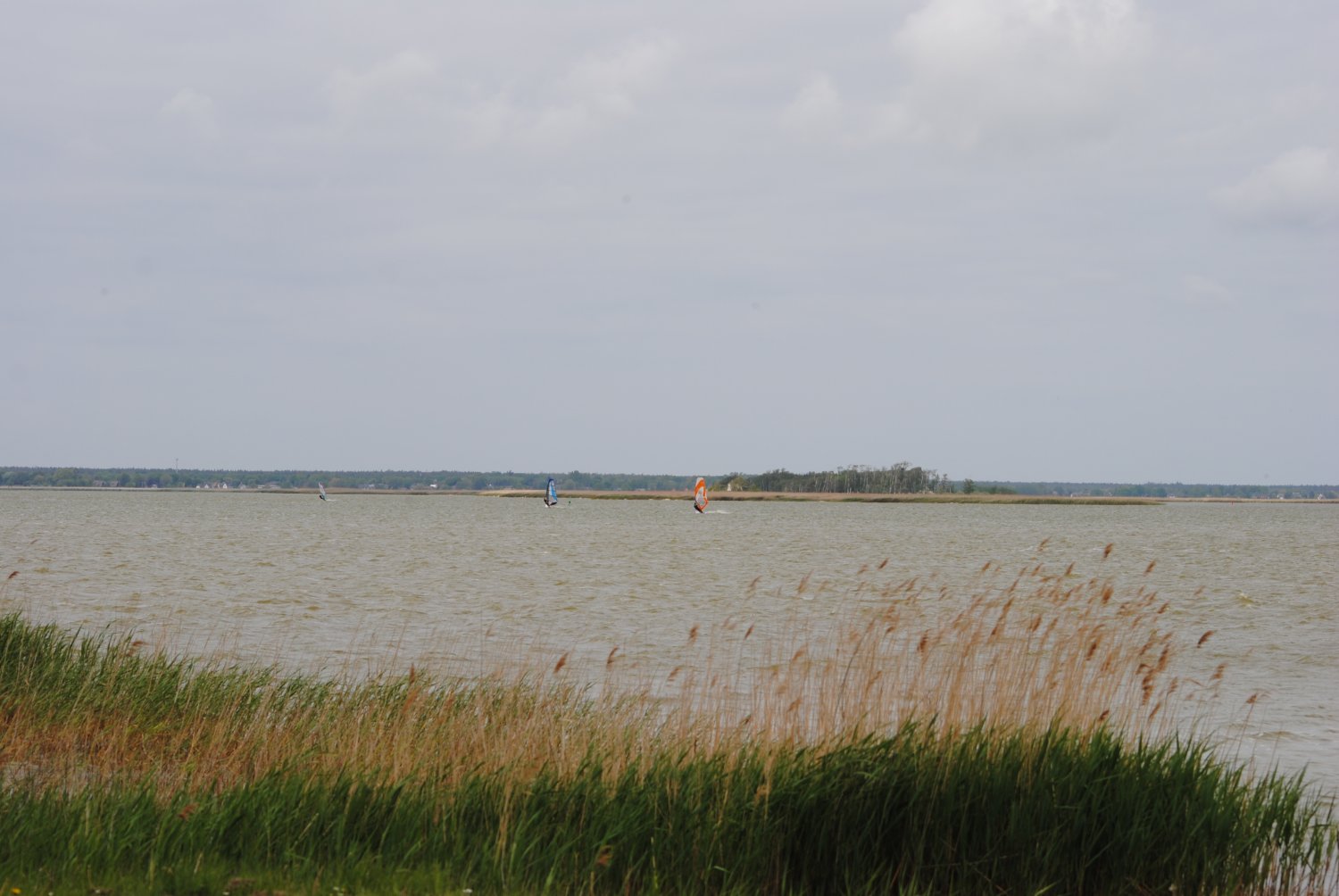 26.05.2019 - Saaler Bodden