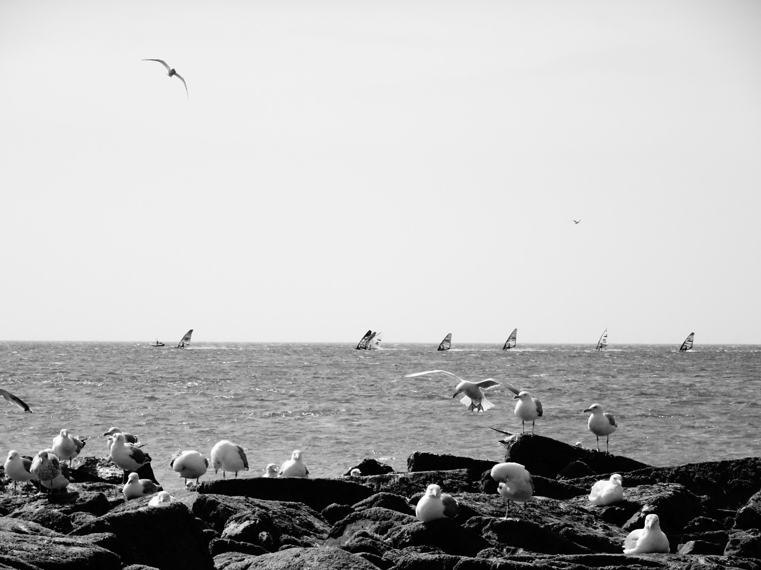 27.07.2019 - Sylt