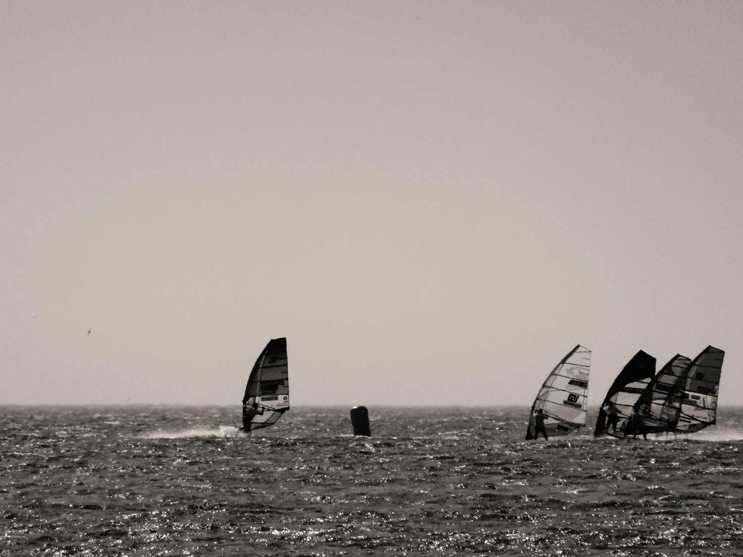 27.07.2019 - Sylt