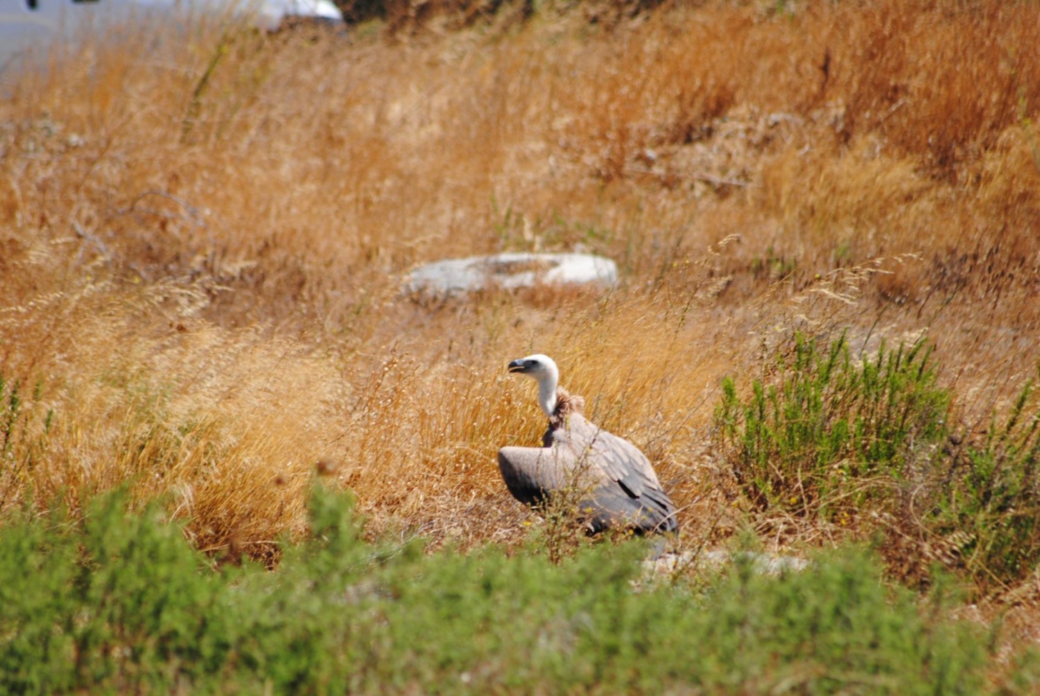 06.08.2019 - Kreta