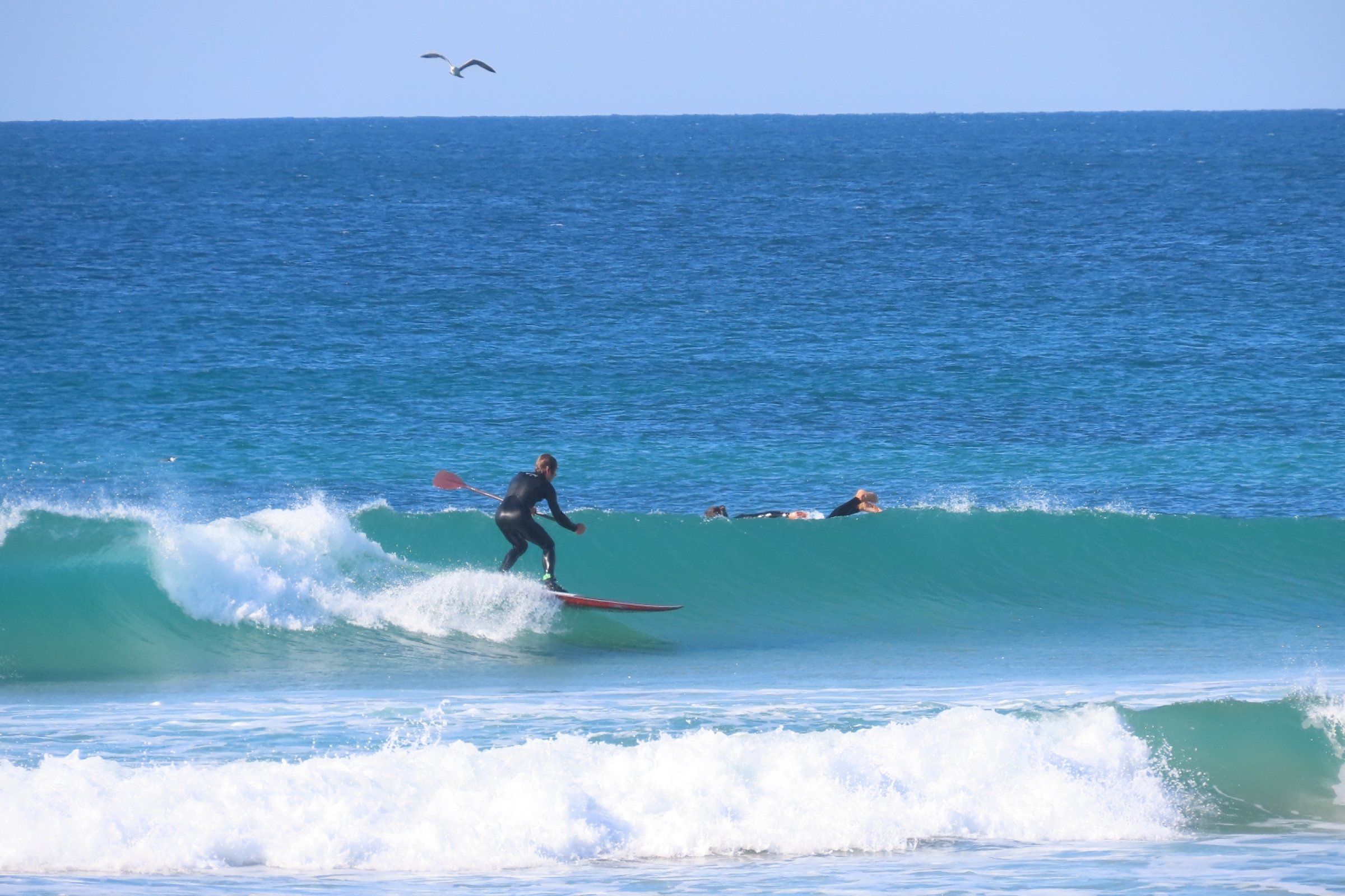 20.01.2022 - Conil