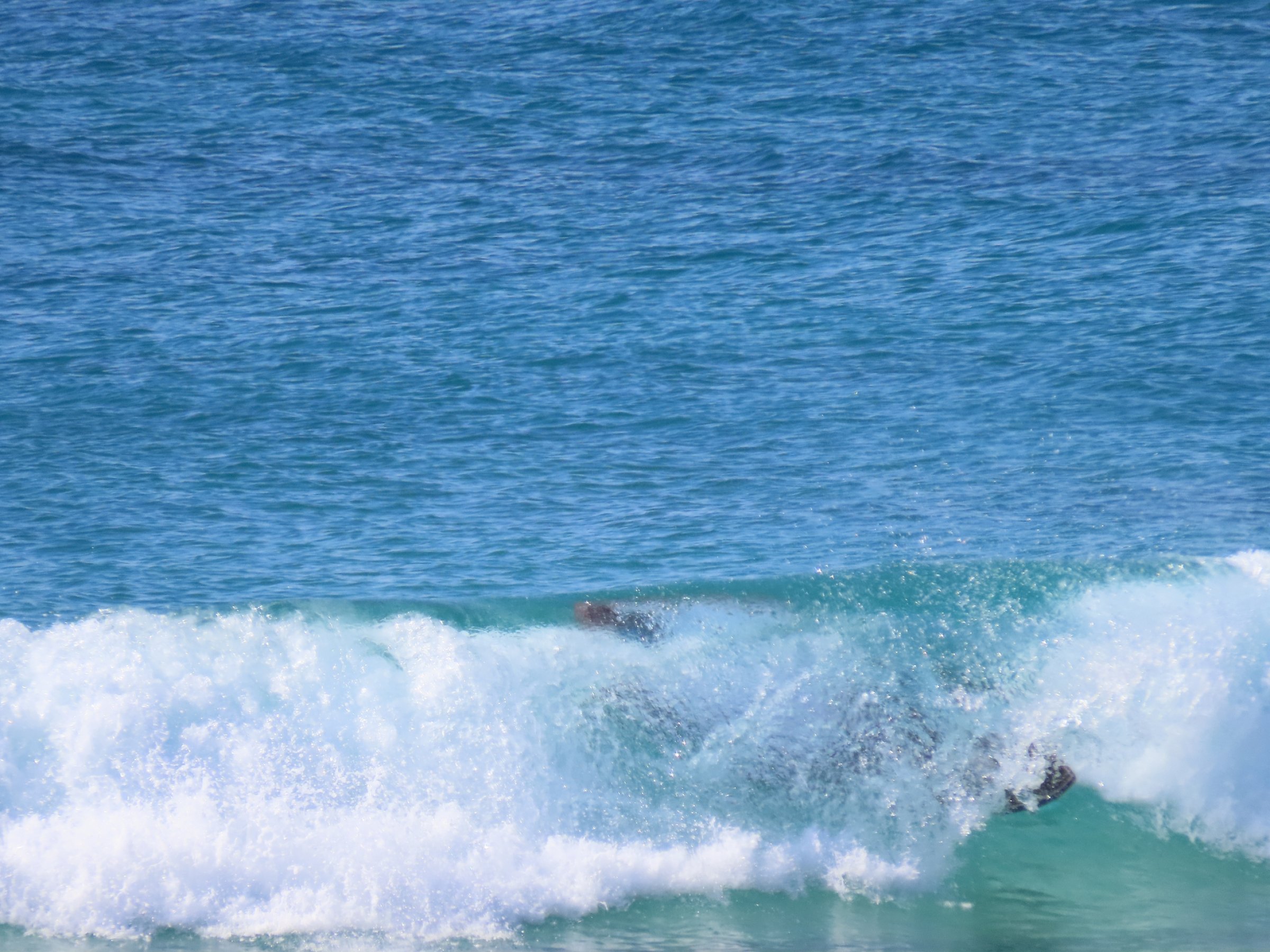 10.02.2022 - Conil