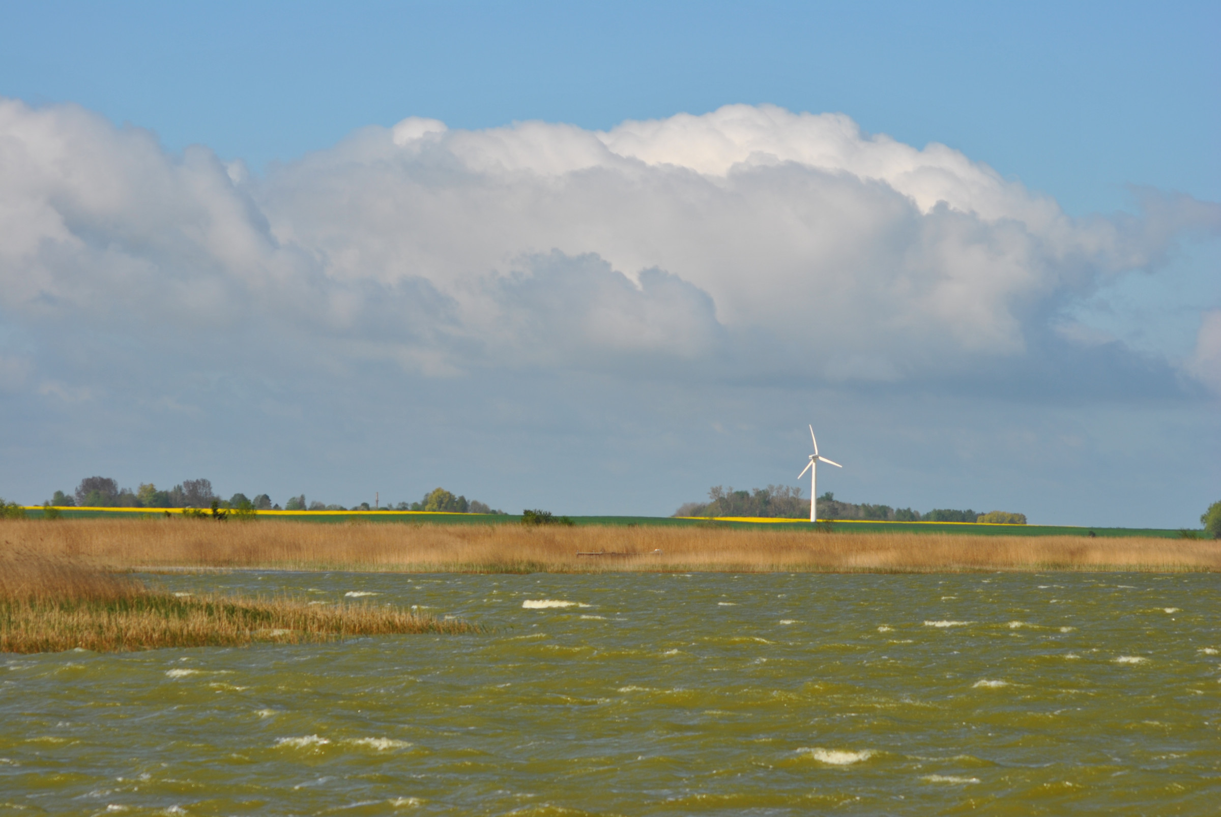 14.05.2022 - Saaler Bodden und Suhrendorf