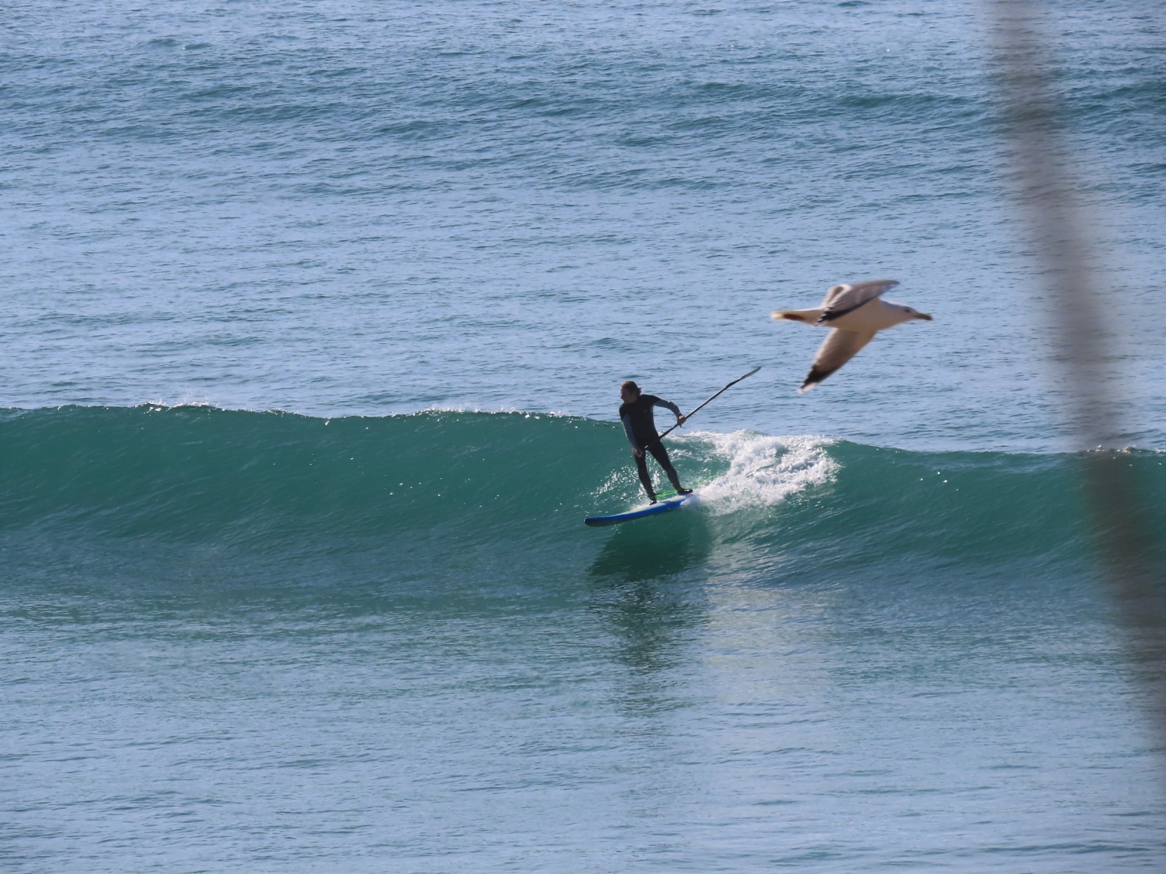 13.01.2023 - Tarifa und Umgebung