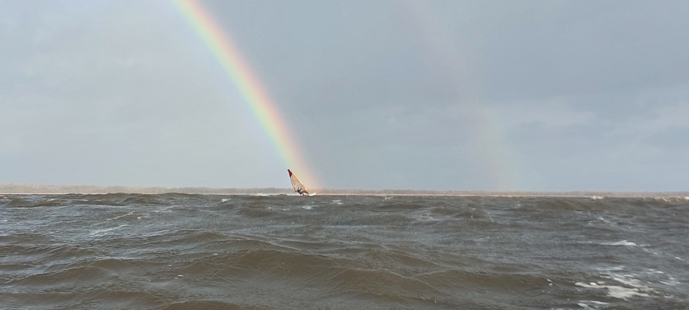 14.11.2023 - Steinhuder Meer