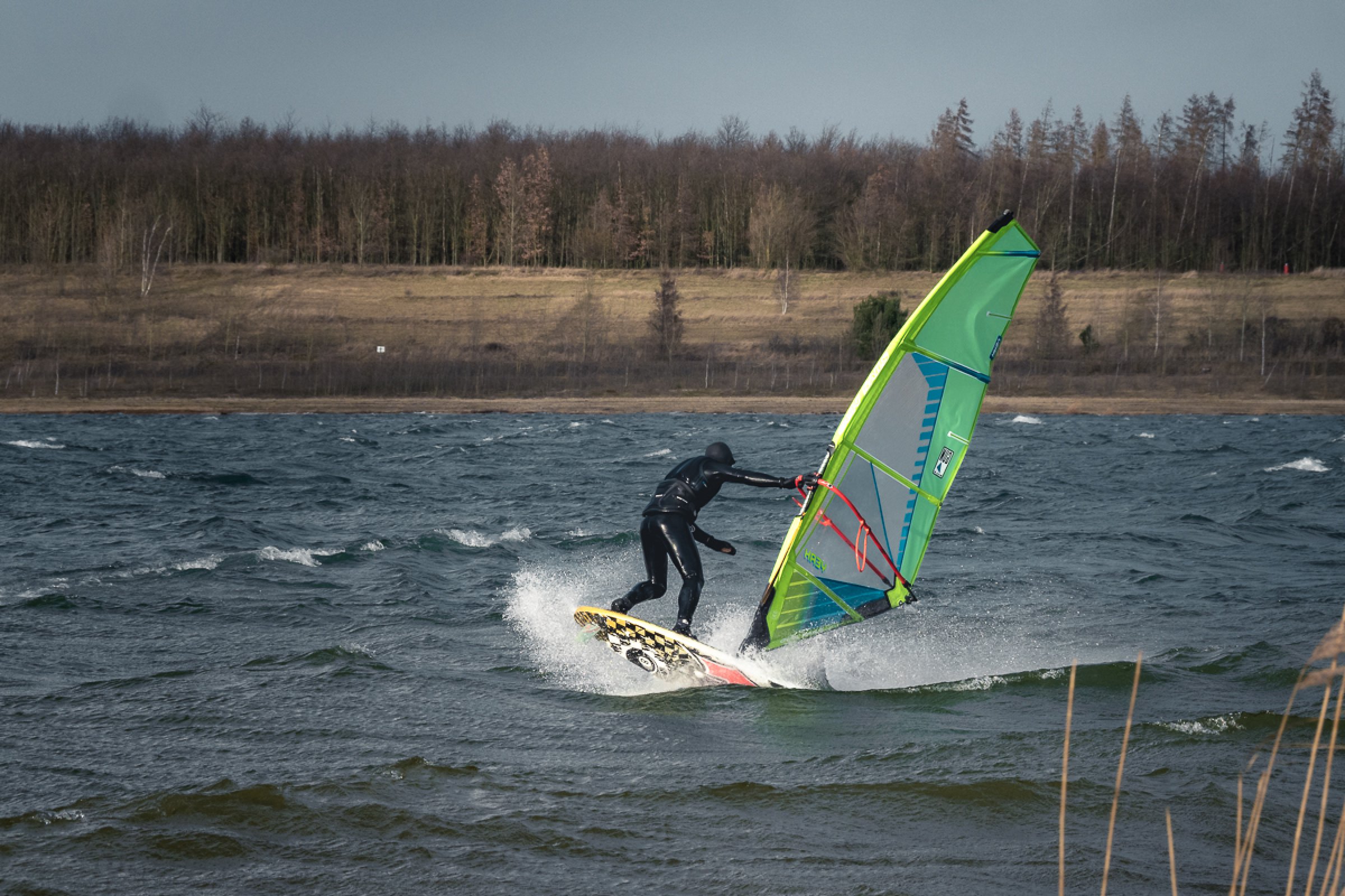 24.01.2024 - Zwenkauer See