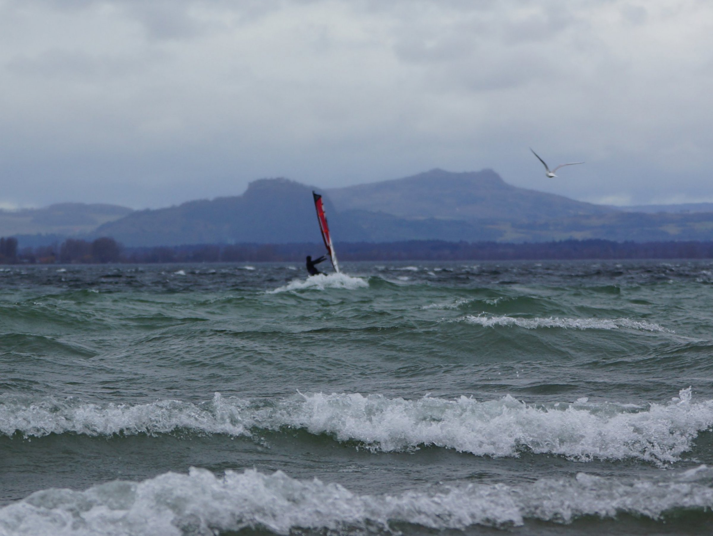 25.01.2024 - Bodensee Reichenau 