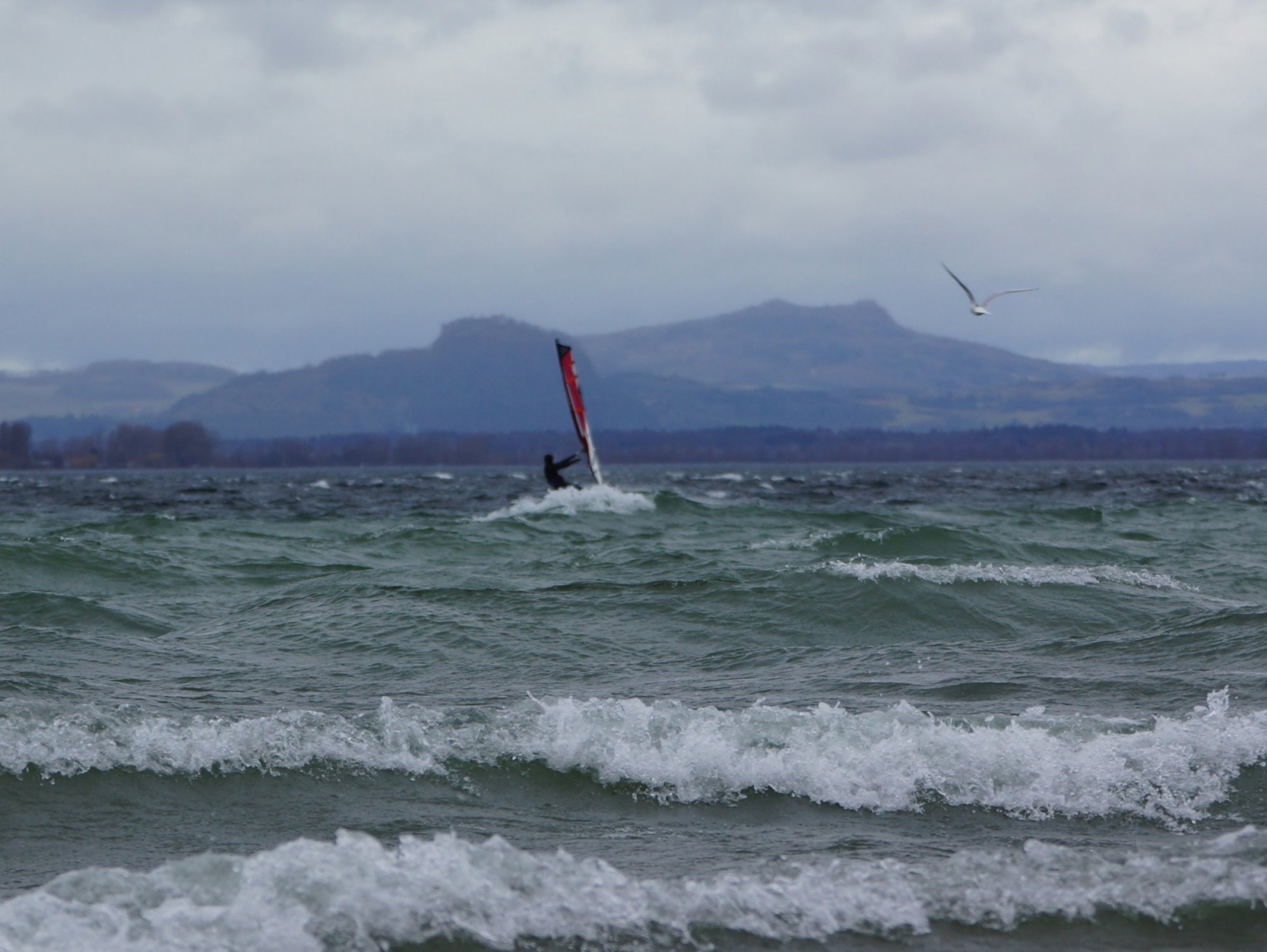 25.01.2024 - Bodensee Reichenau 