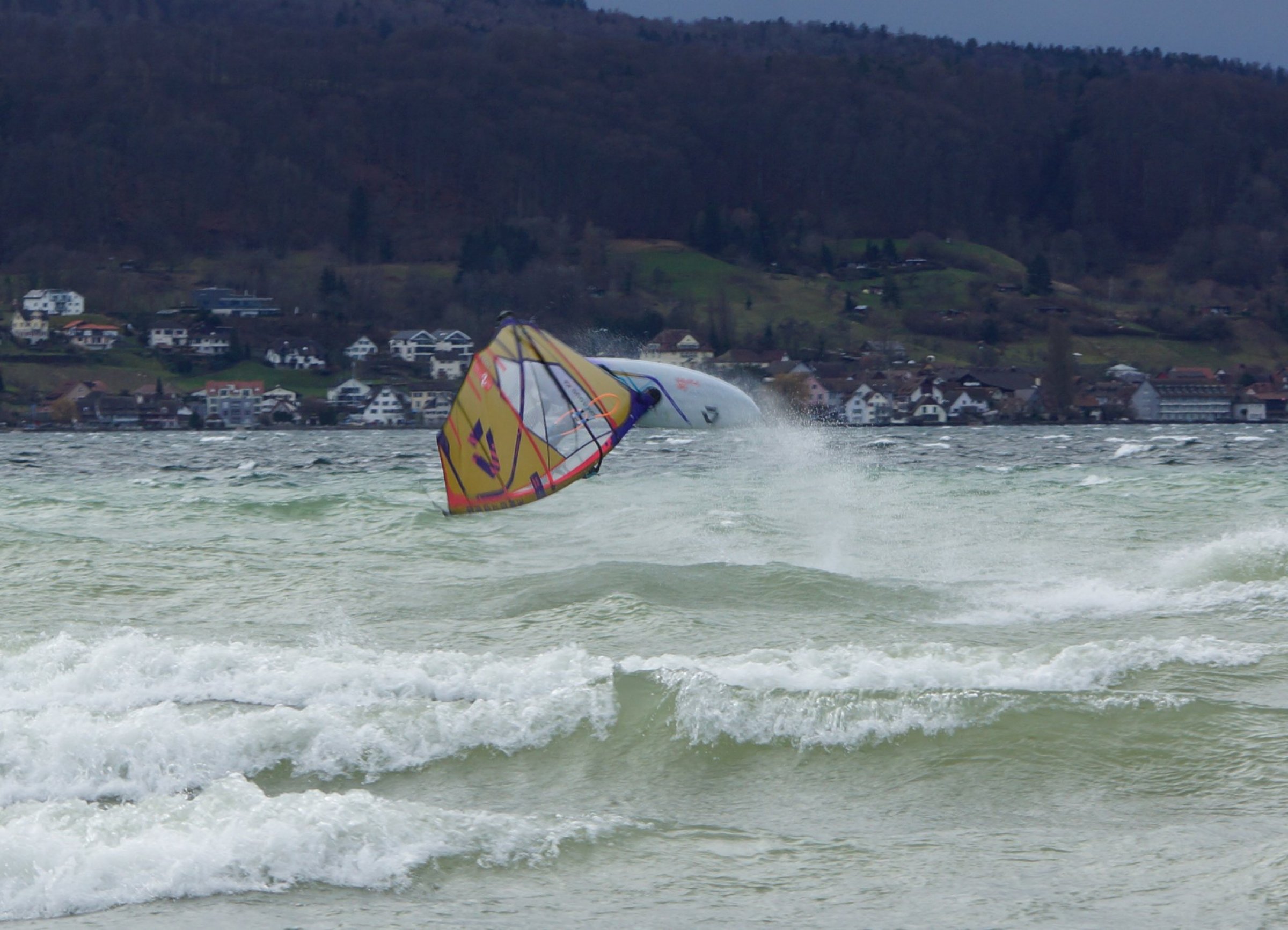 25.01.2024 - Bodensee Reichenau 