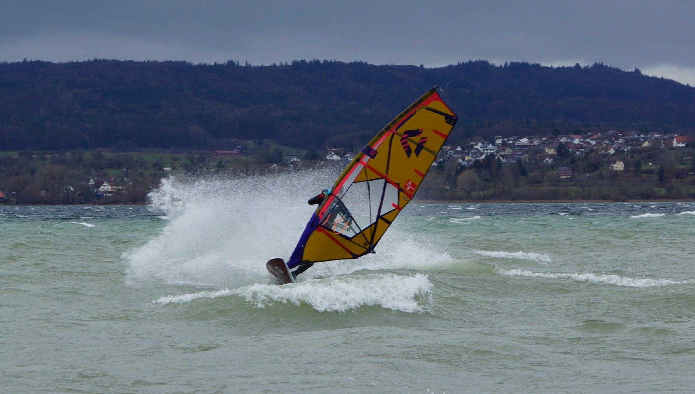 25.01.2024 - Bodensee Reichenau 