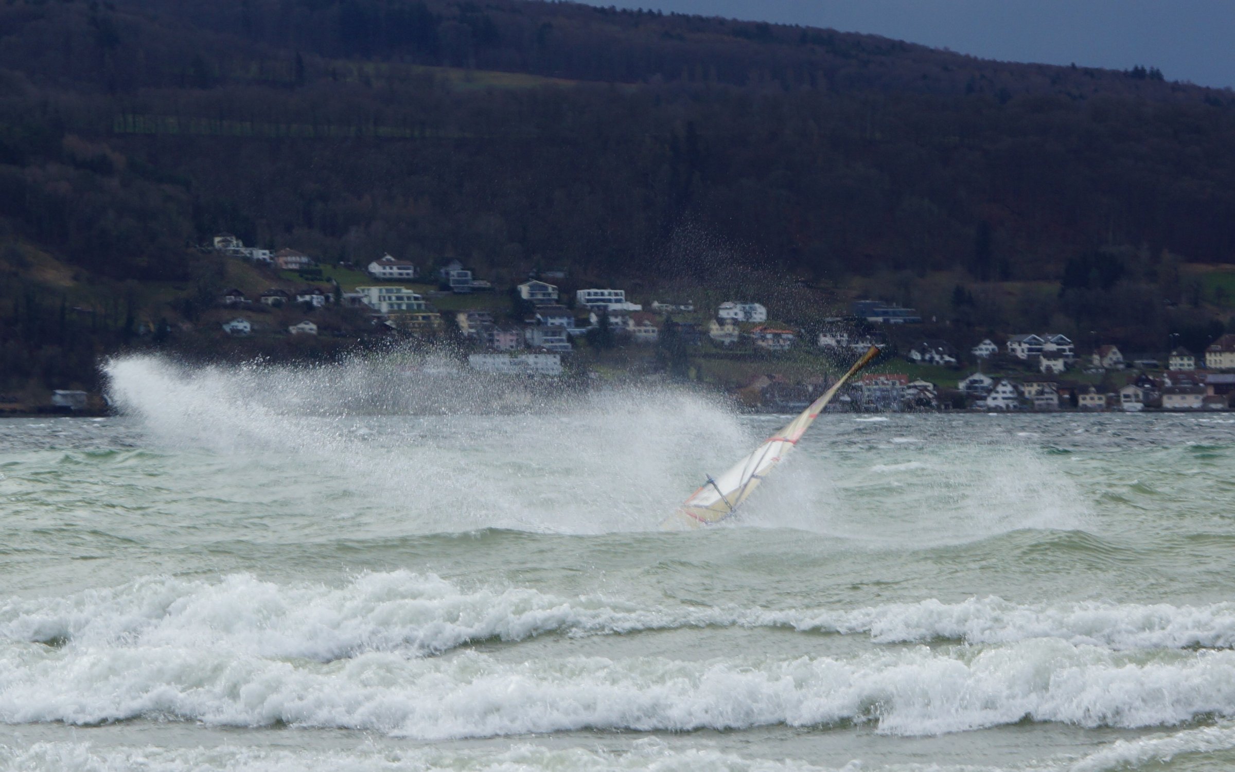 25.01.2024 - Bodensee Reichenau 