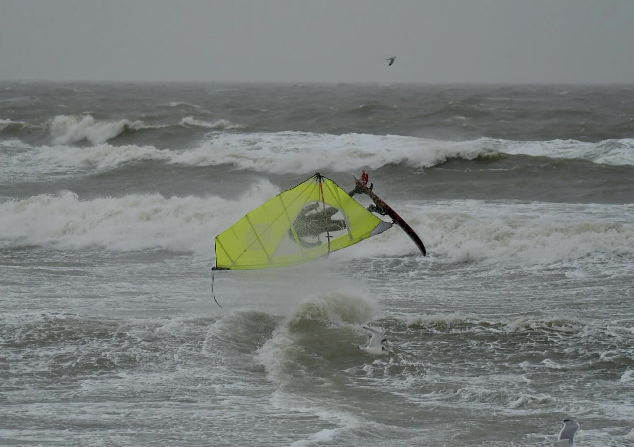 24.01.2024 - Hvidberg Strand 