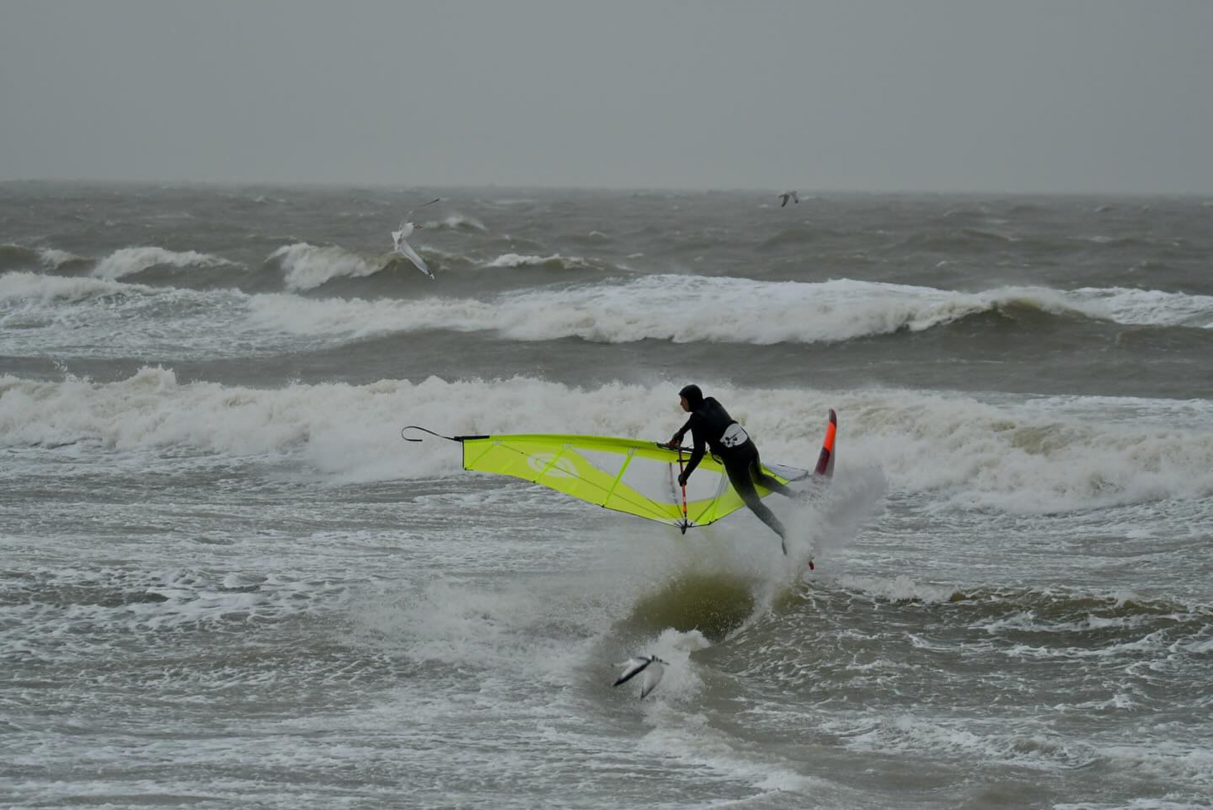 24.01.2024 - Hvidberg Strand 