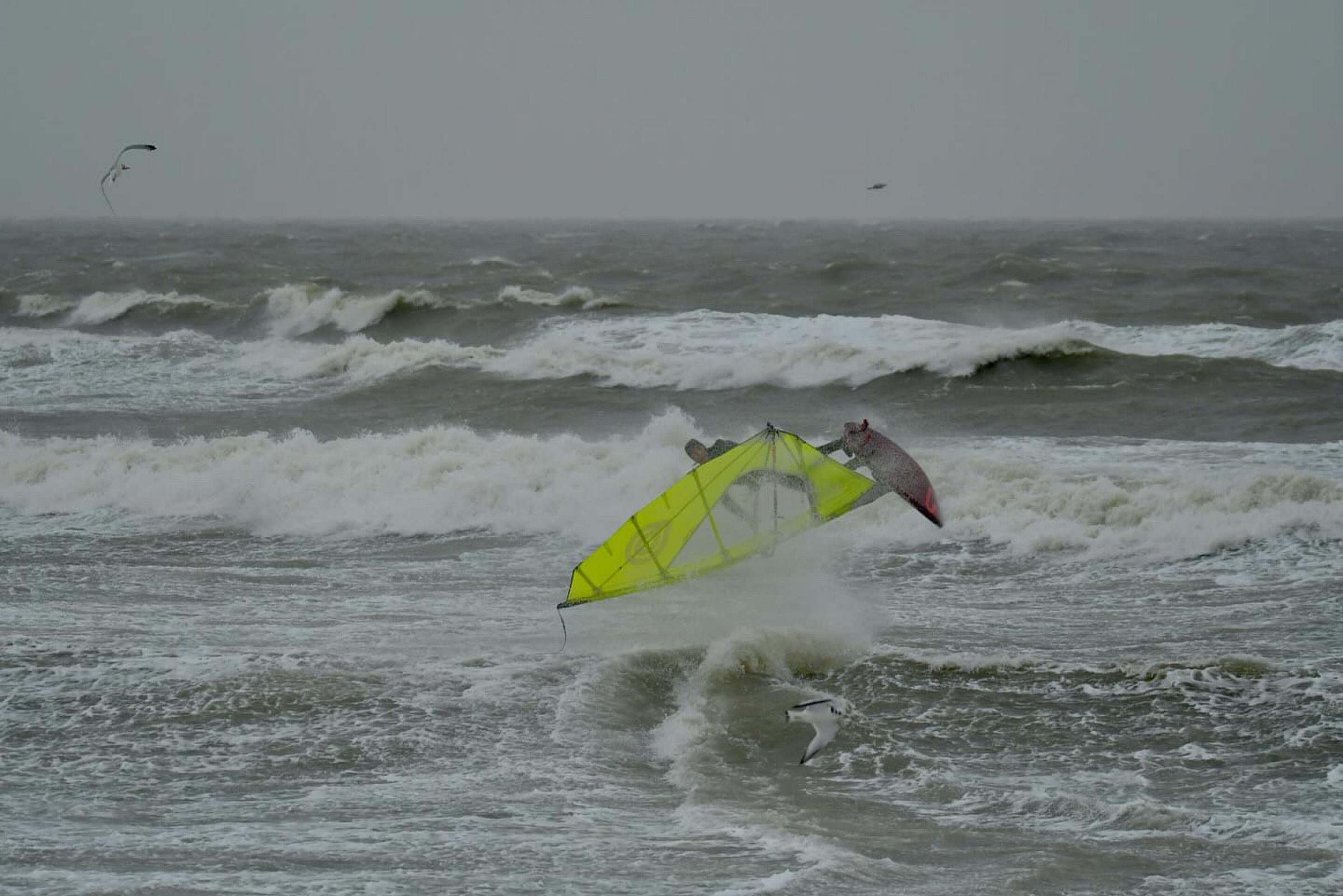 24.01.2024 - Hvidberg Strand 