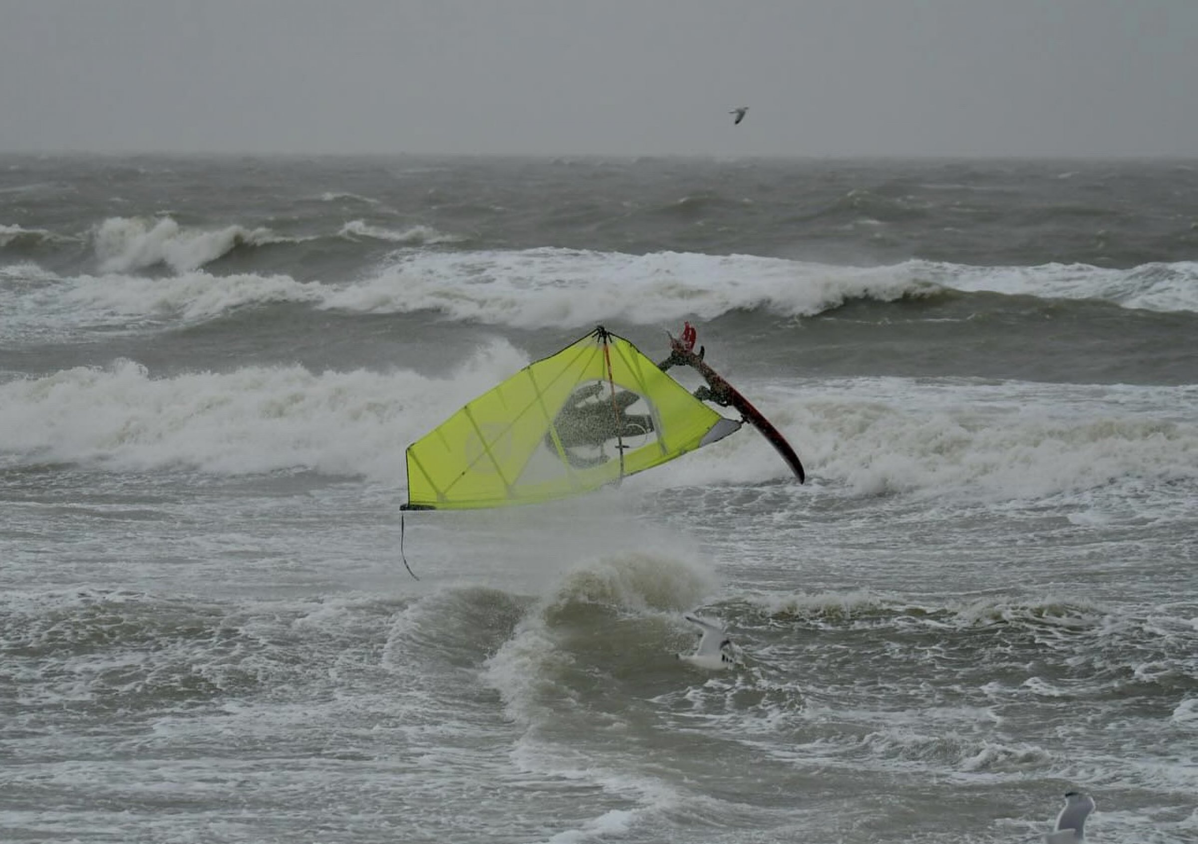 24.01.2024 - Hvidberg Strand 