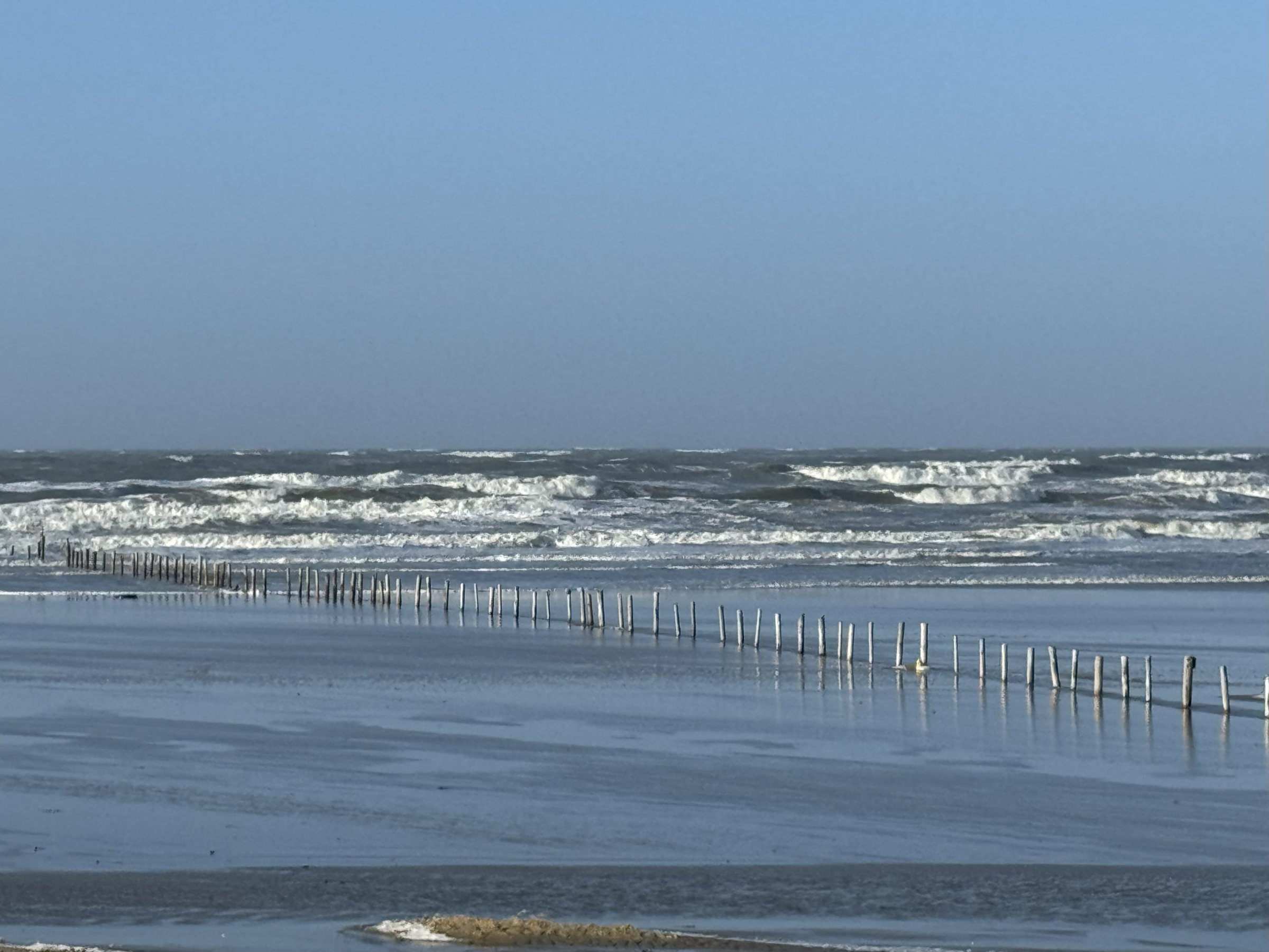 24.01.2024 - Hvidberg Strand 