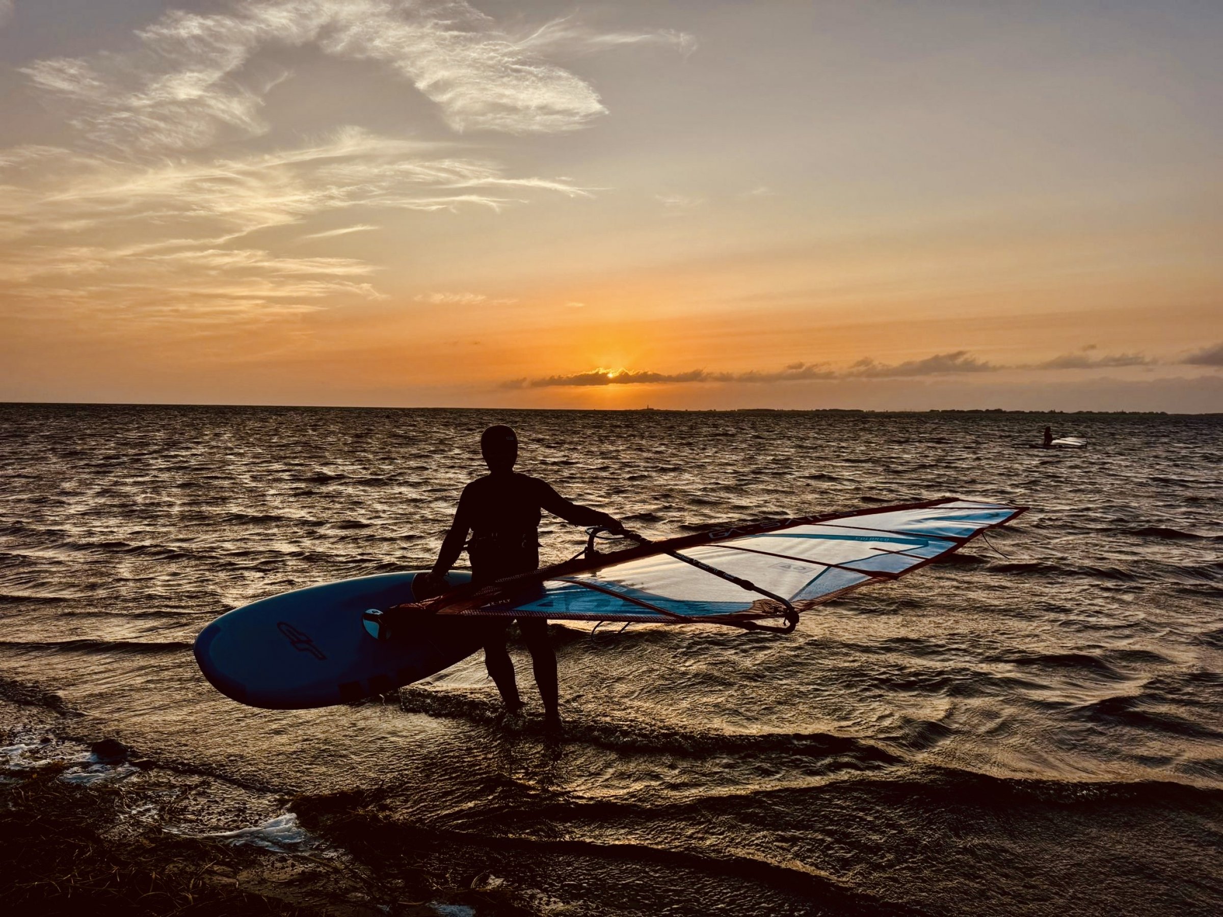23.08.2024 - Gold/Fehmarn