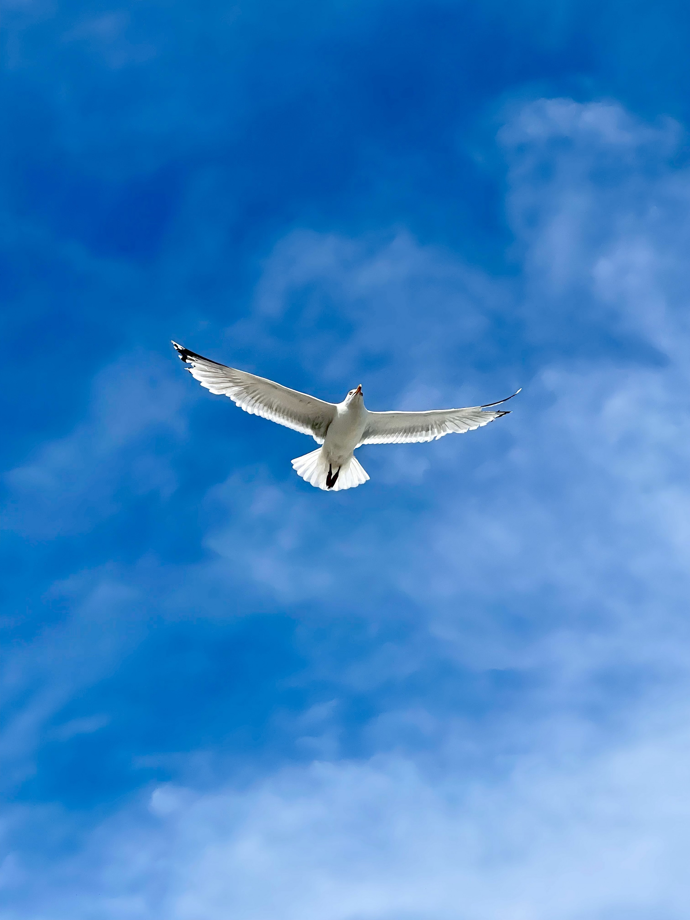 06.08.2025 - Ostsee