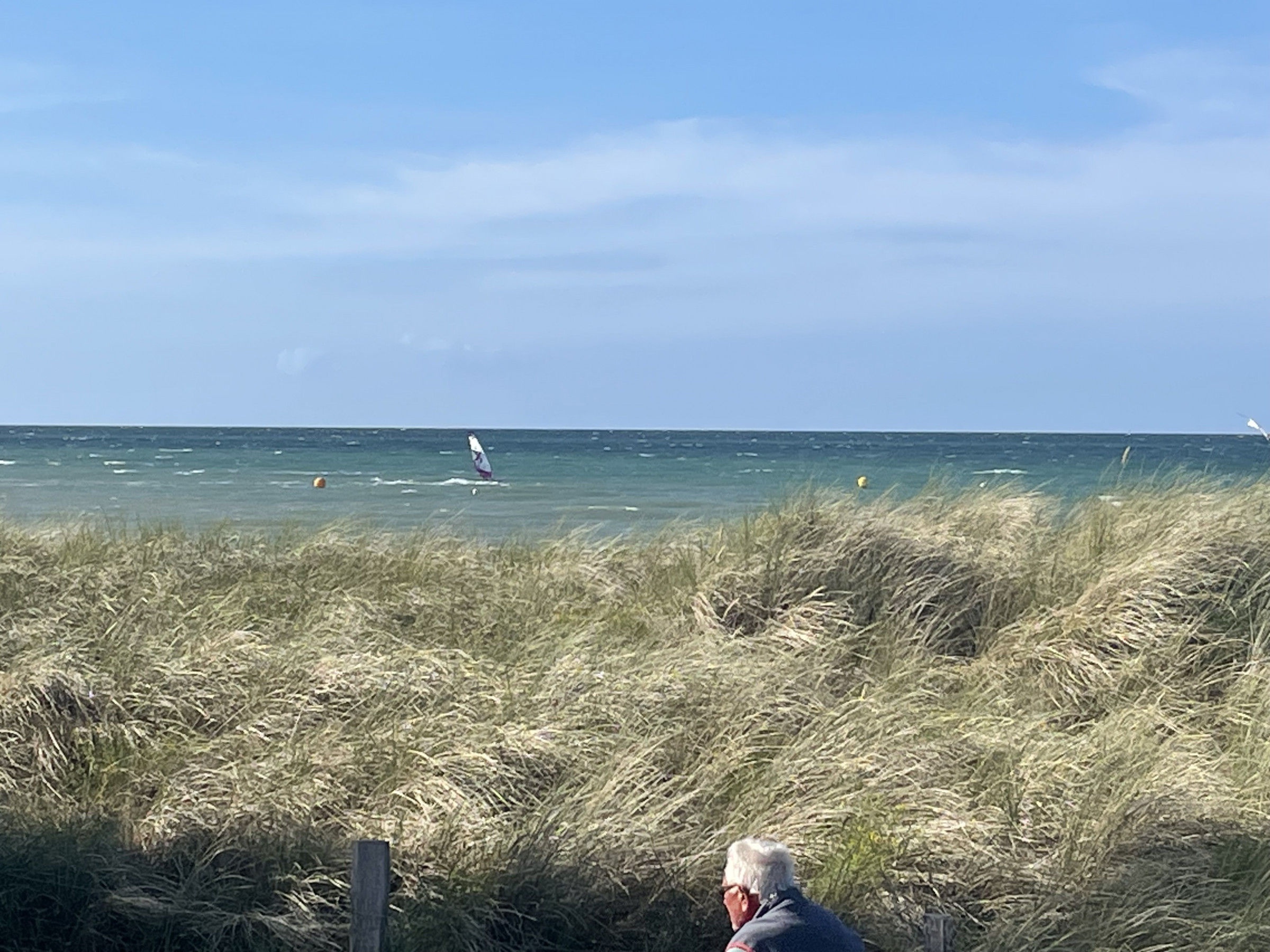 16.08.2025 - Heiligenhafen 