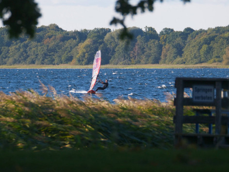 Selenter See