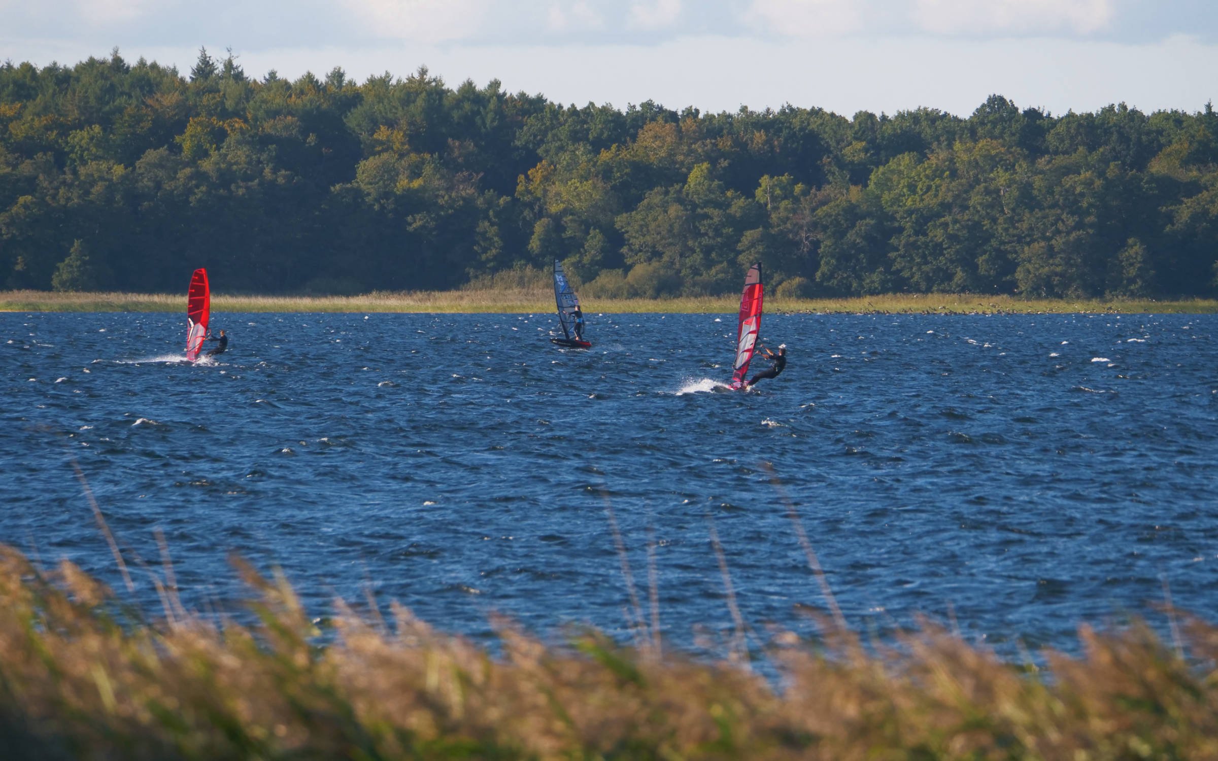 24.09.2025 - Selenter See