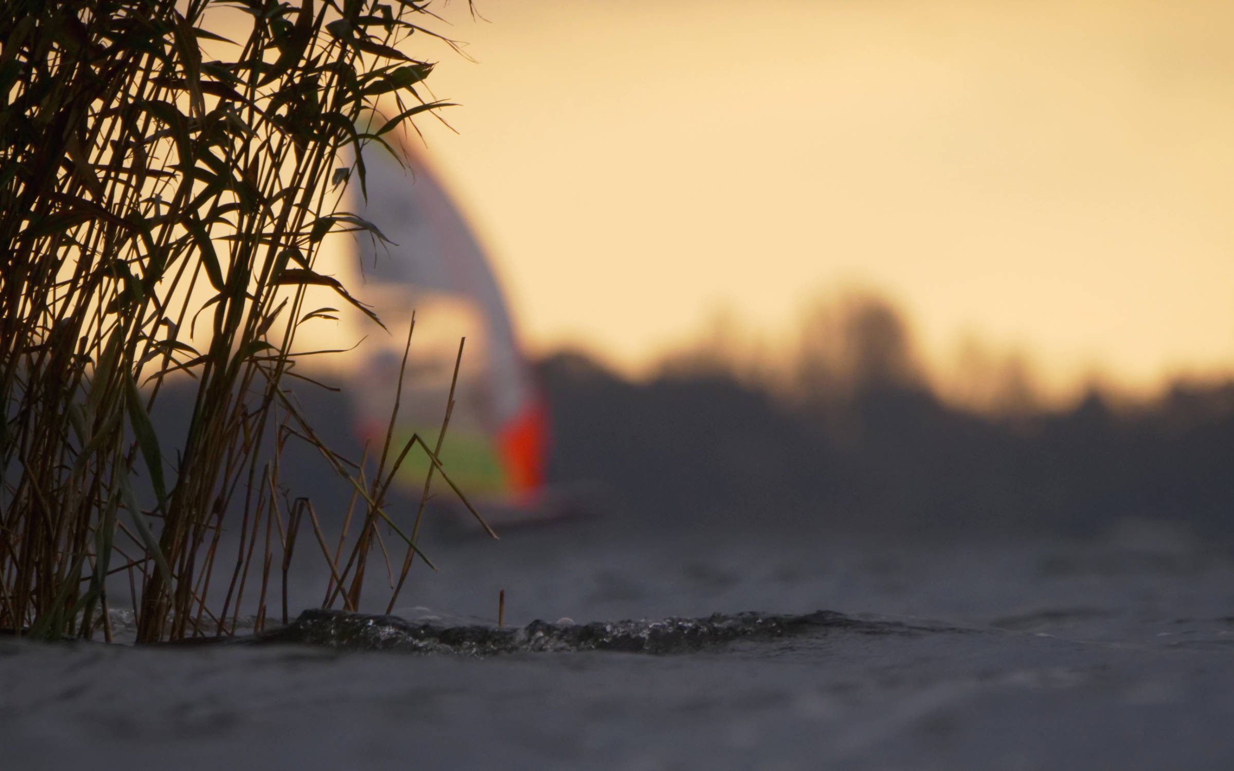 11.11.2025 - Wittensee