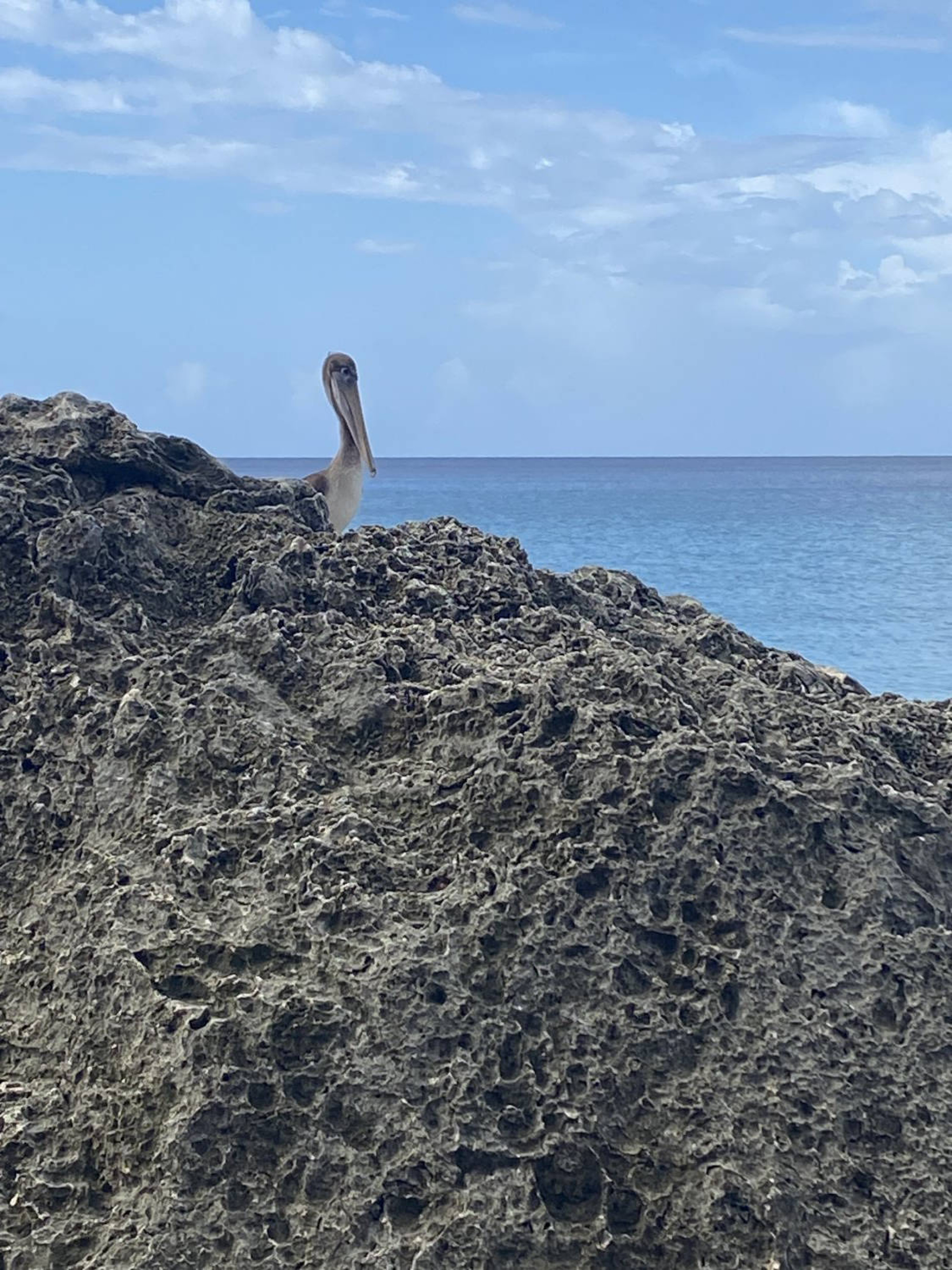 28.11.2025 - Surf Spot Curaçao Spanish Waters 
