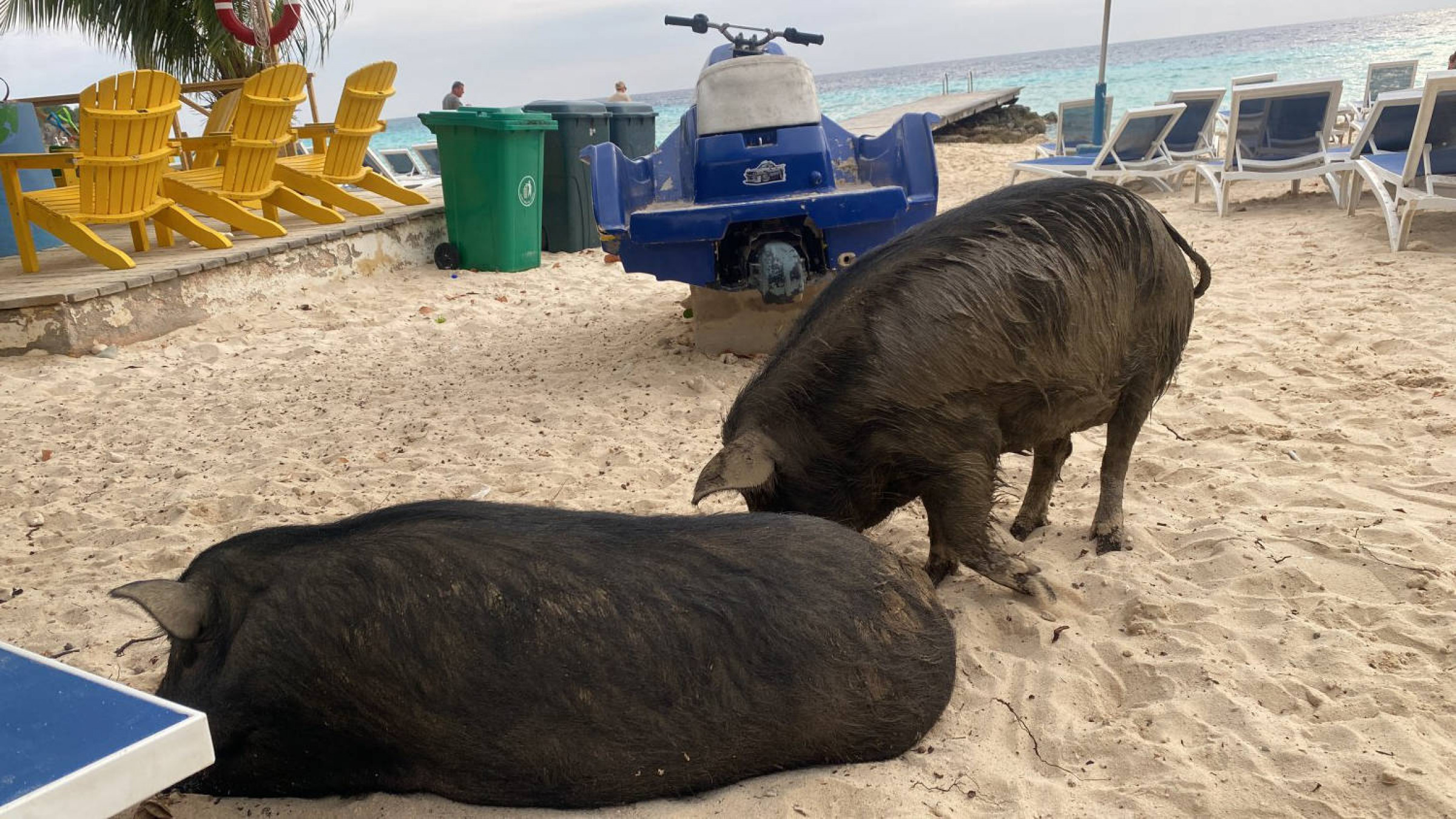 28.11.2025 - Surf Spot Curaçao Spanish Waters 