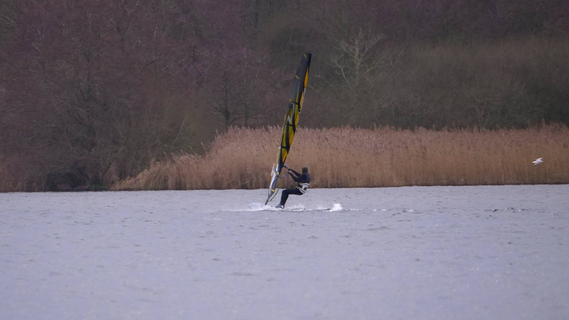 29.12.2025 - Westensee