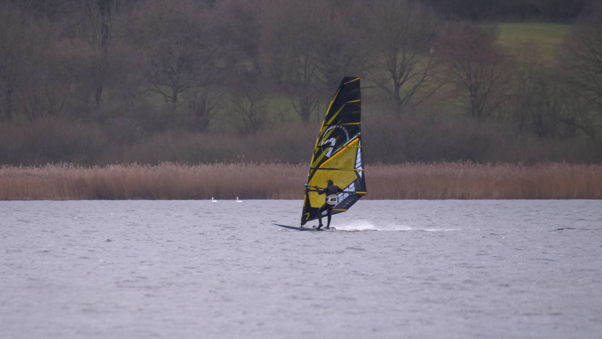 29.12.2025 - Westensee