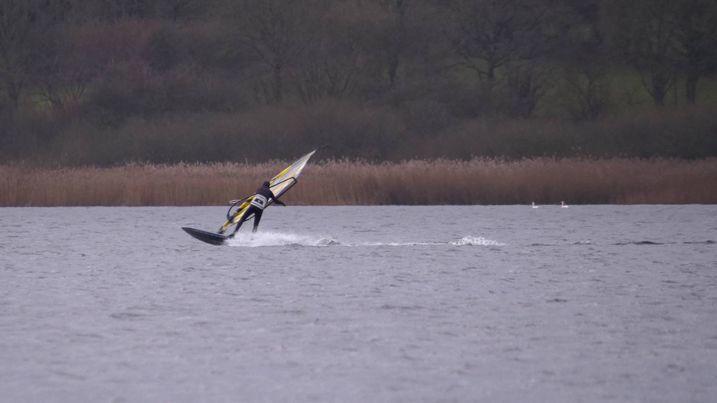 29.12.2025 - Westensee